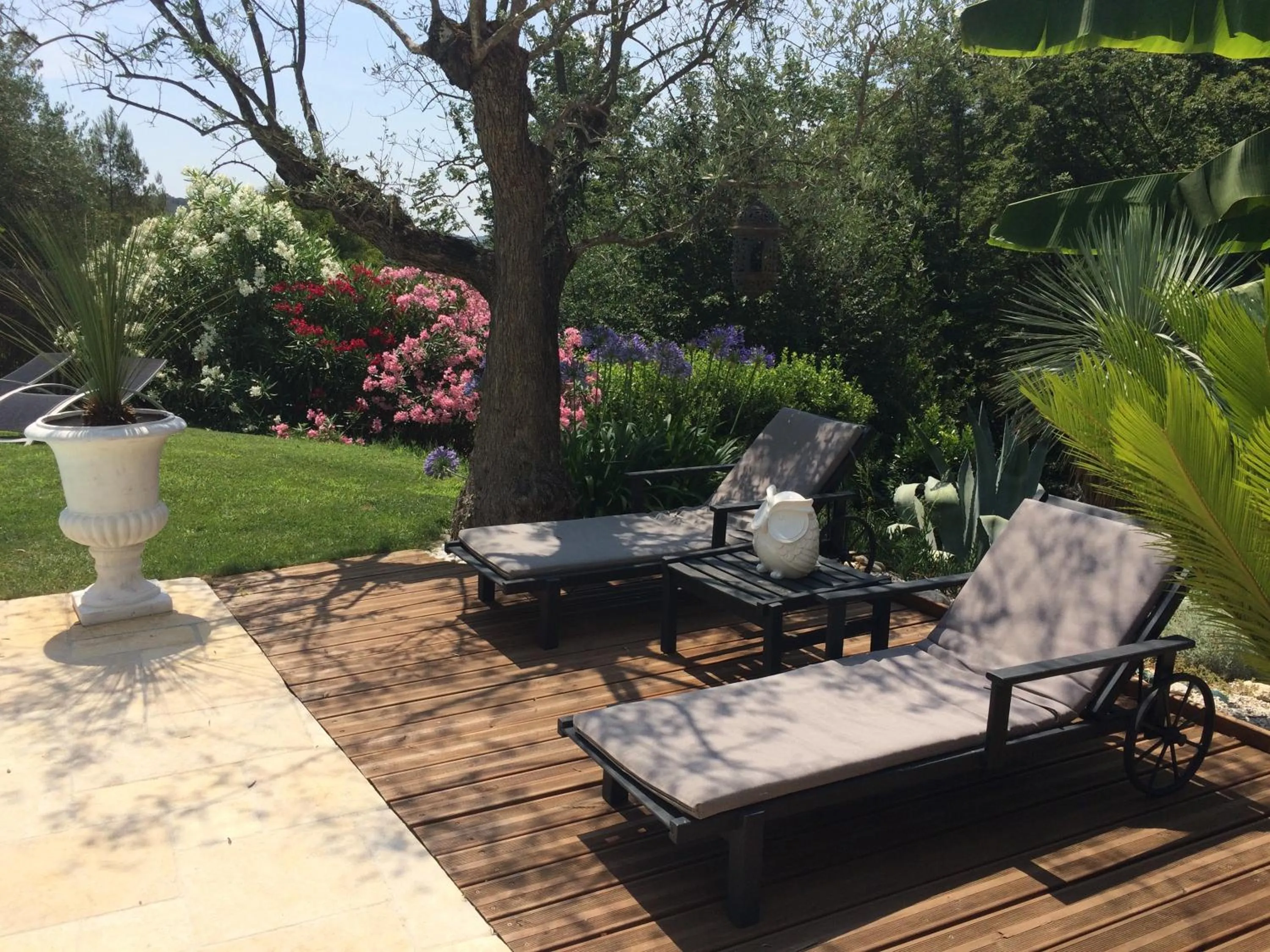 Garden in Le Maskalou