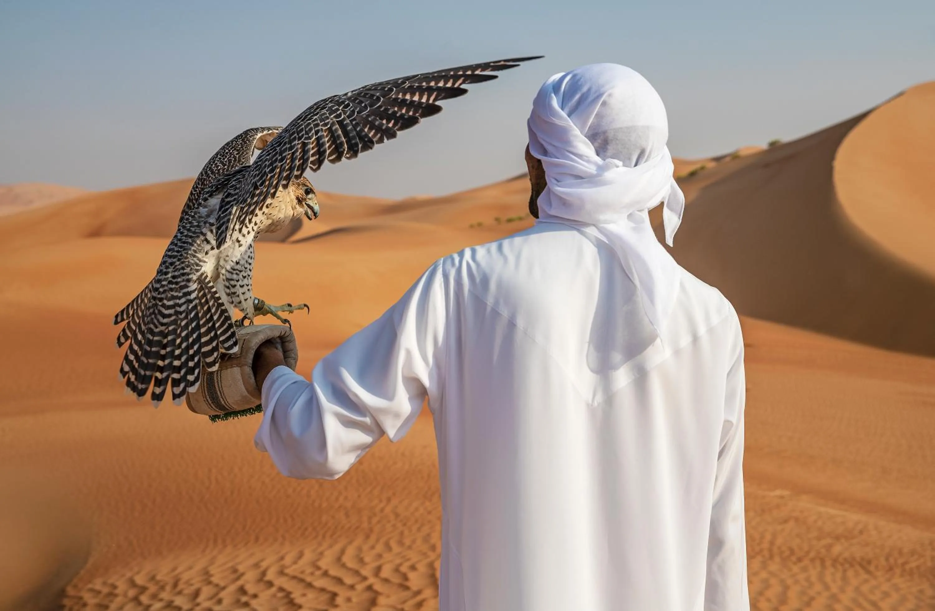 Activities in Anantara Qasr al Sarab Desert Resort