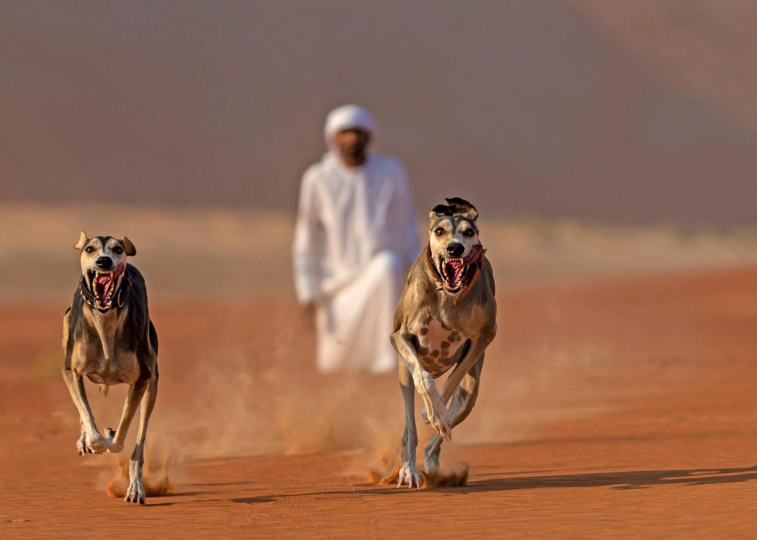 People in Anantara Qasr al Sarab Desert Resort