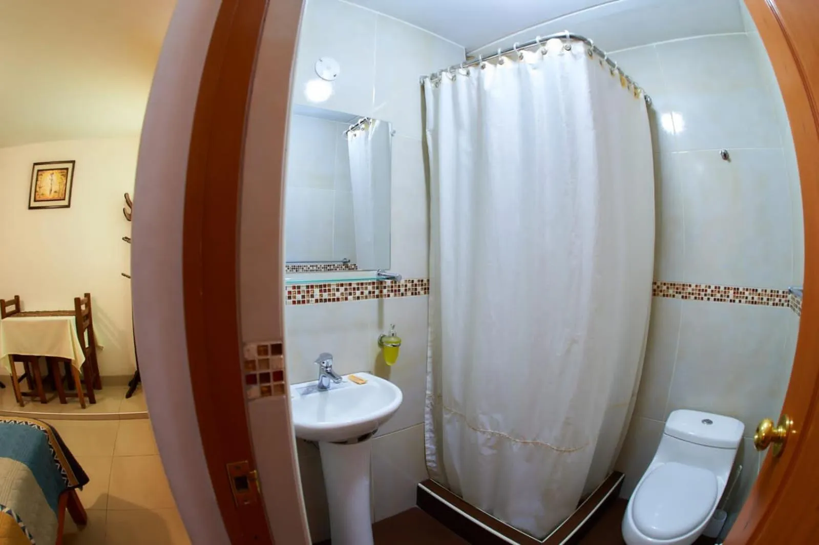 Toilet in Marlon's House Arequipa