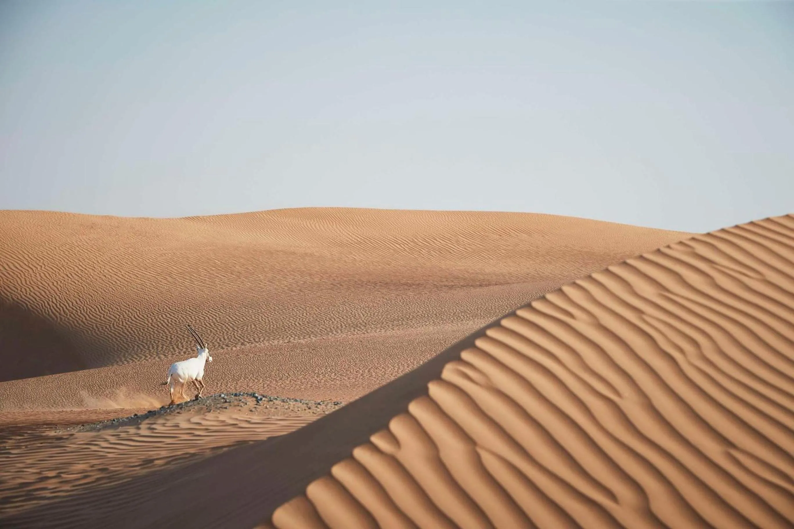 On site in Address Dubai Mall