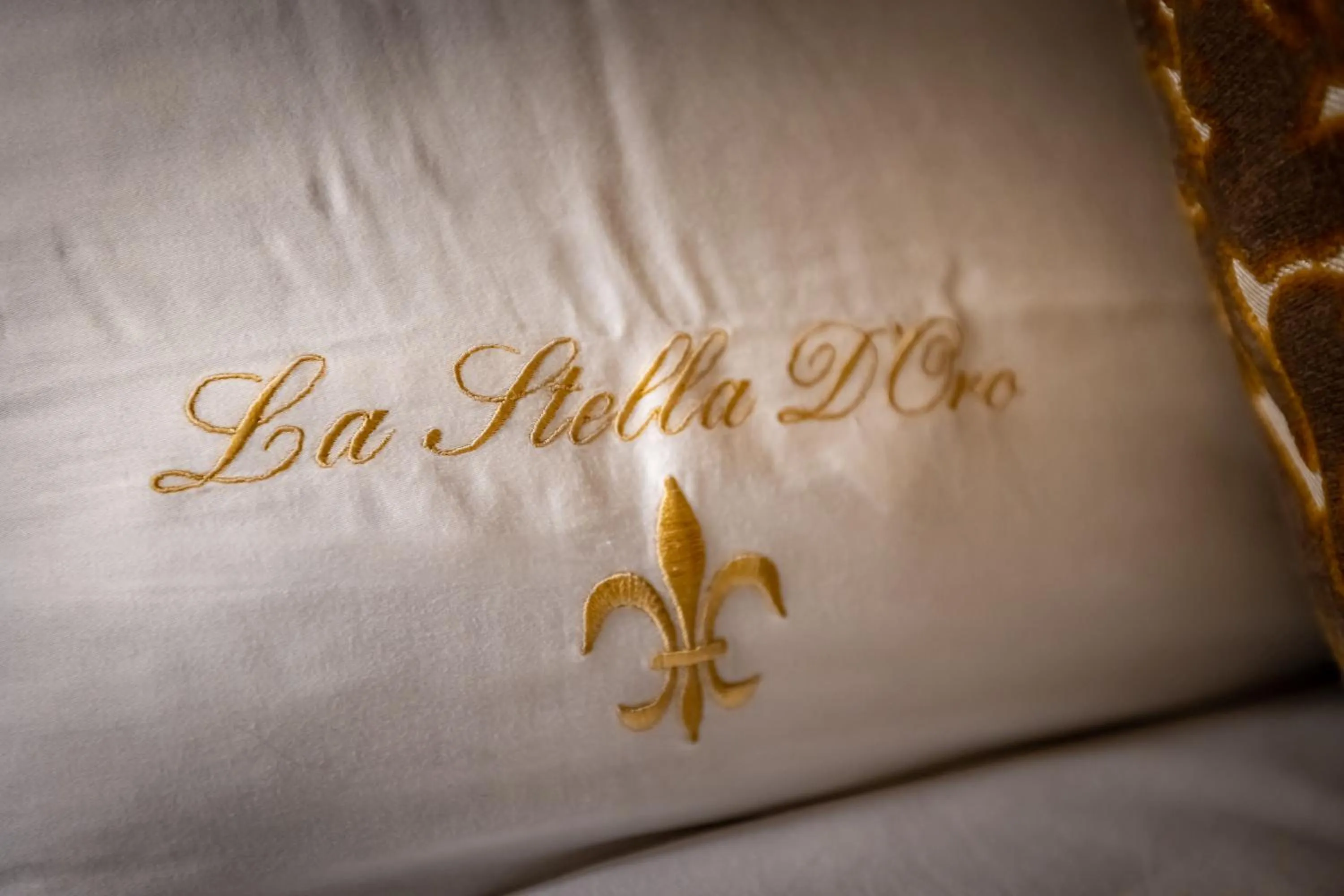 Property logo or sign in La Stella d'Oro B&B