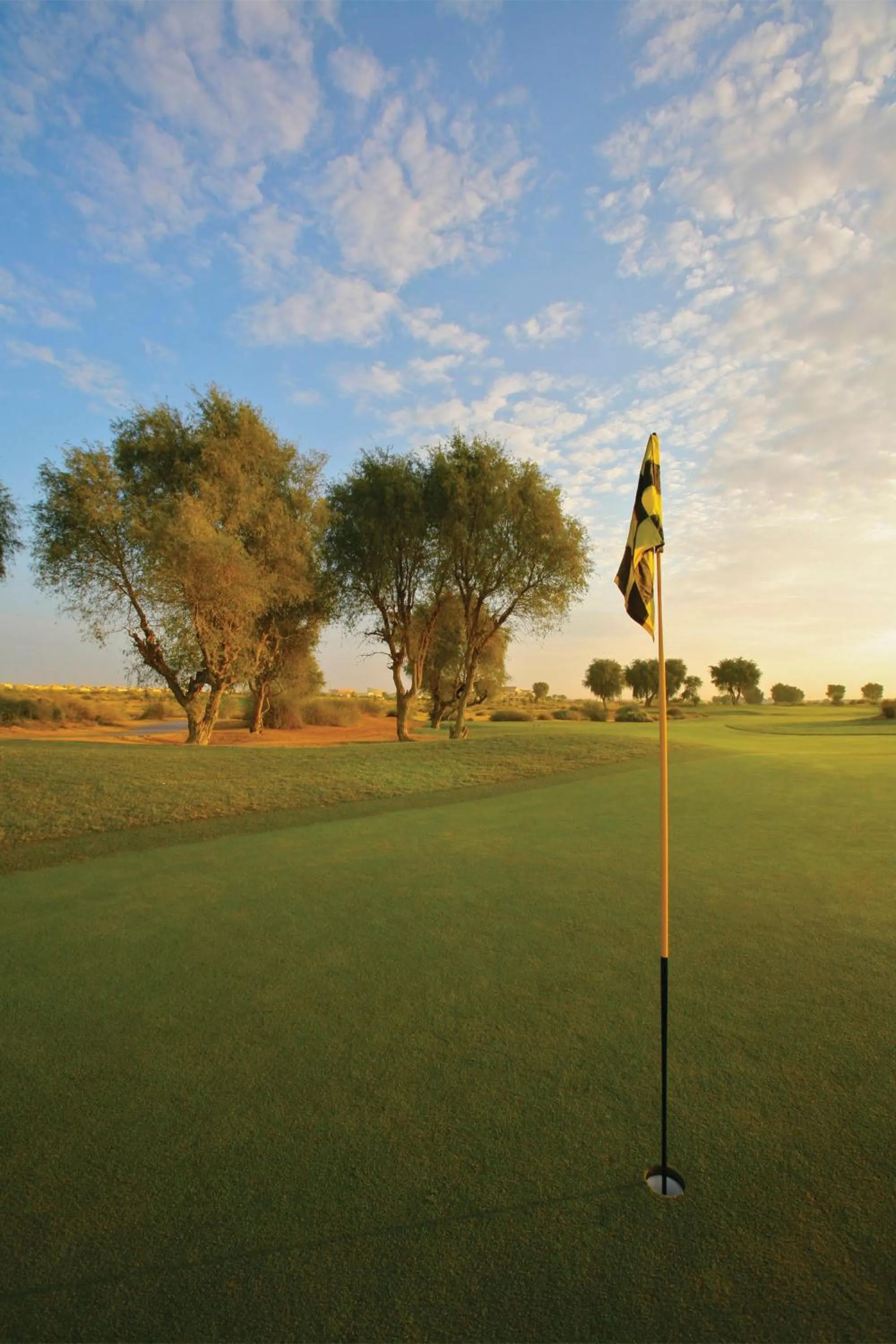 Minigolf in Arabian Ranches Golf Club