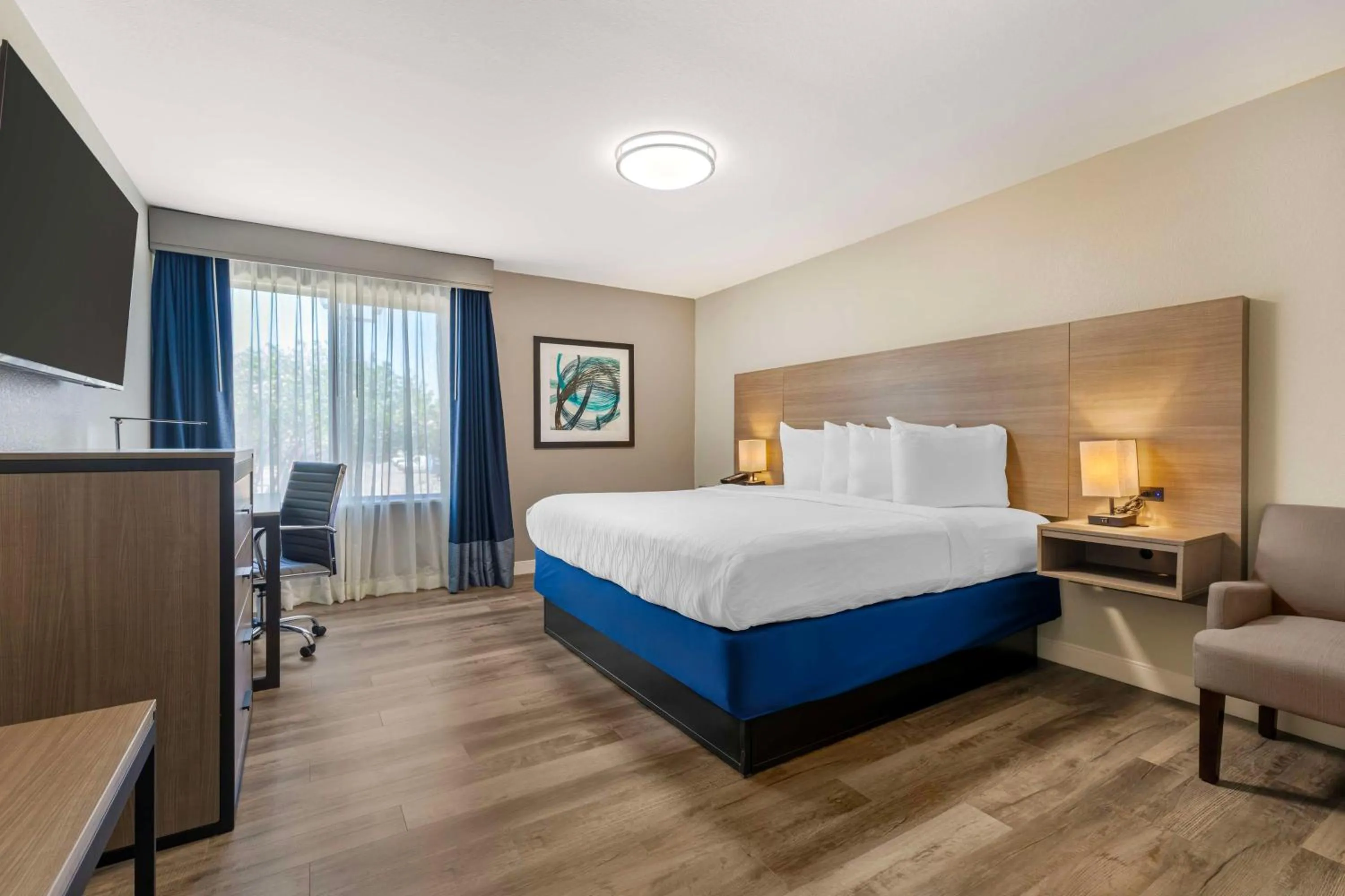 Photo of the whole room, Bed in Best Western Plus Lewisville Flower Mound