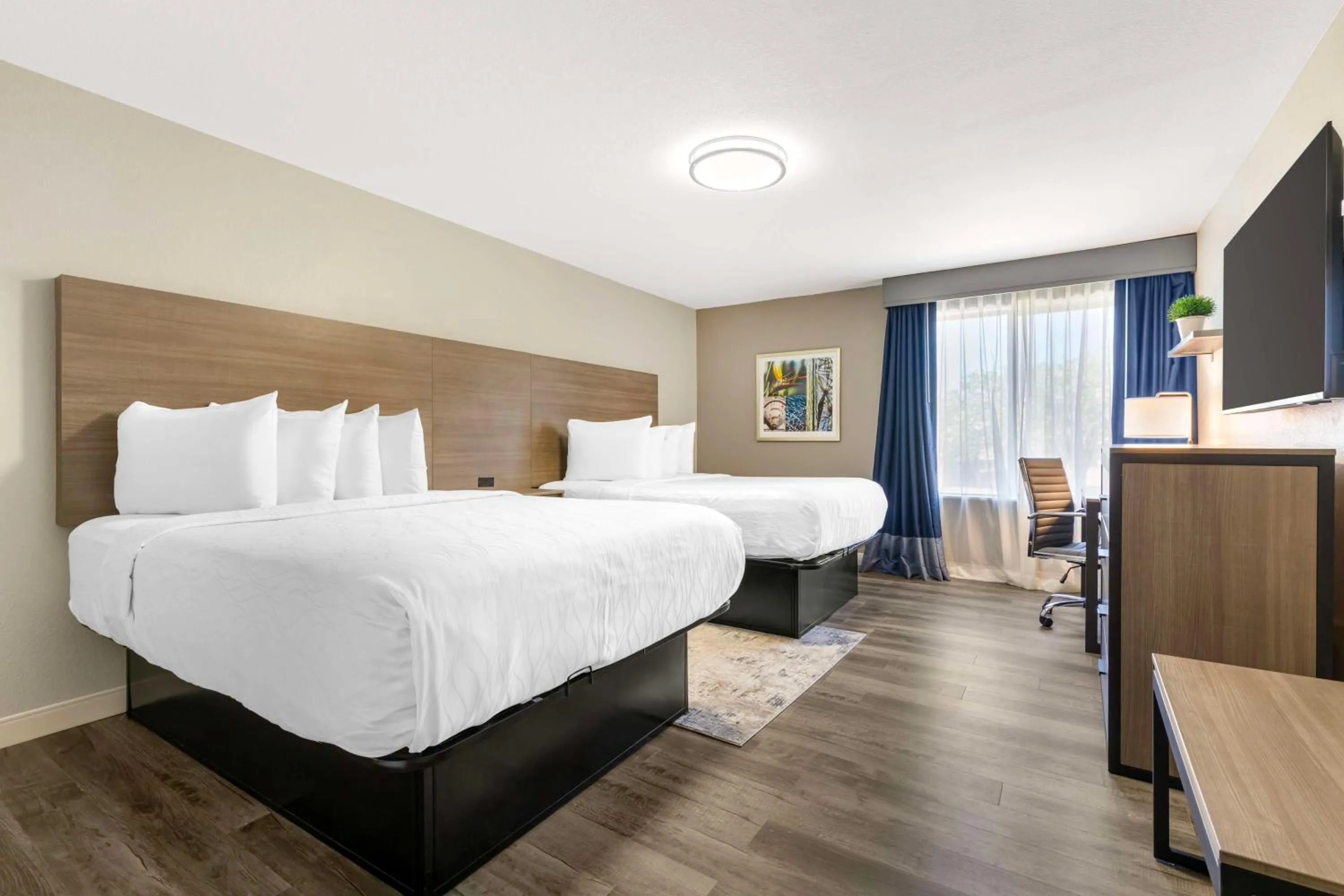 Photo of the whole room, Bed in Best Western Plus Lewisville Flower Mound