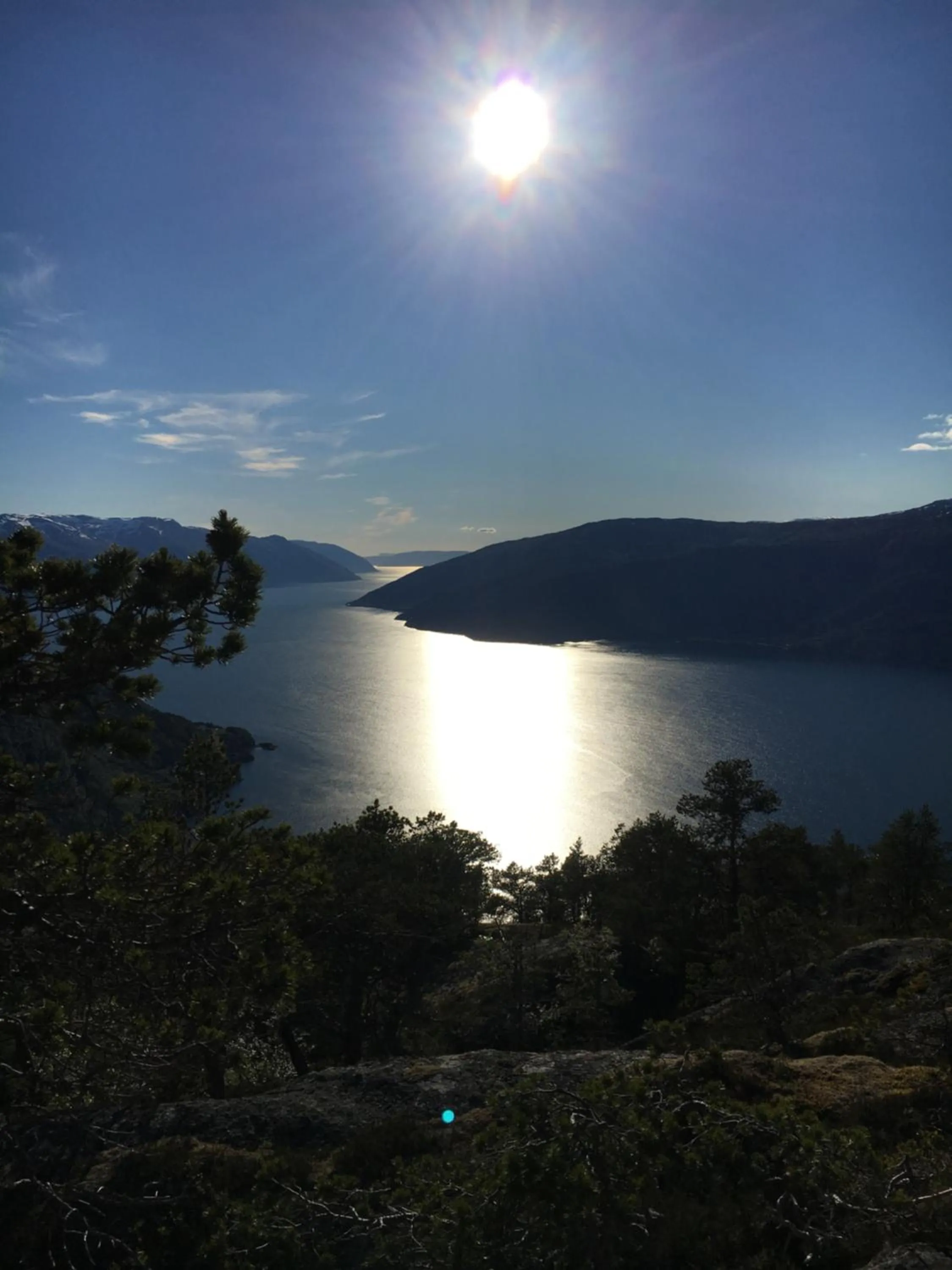 Natural landscape in Blix Hotel