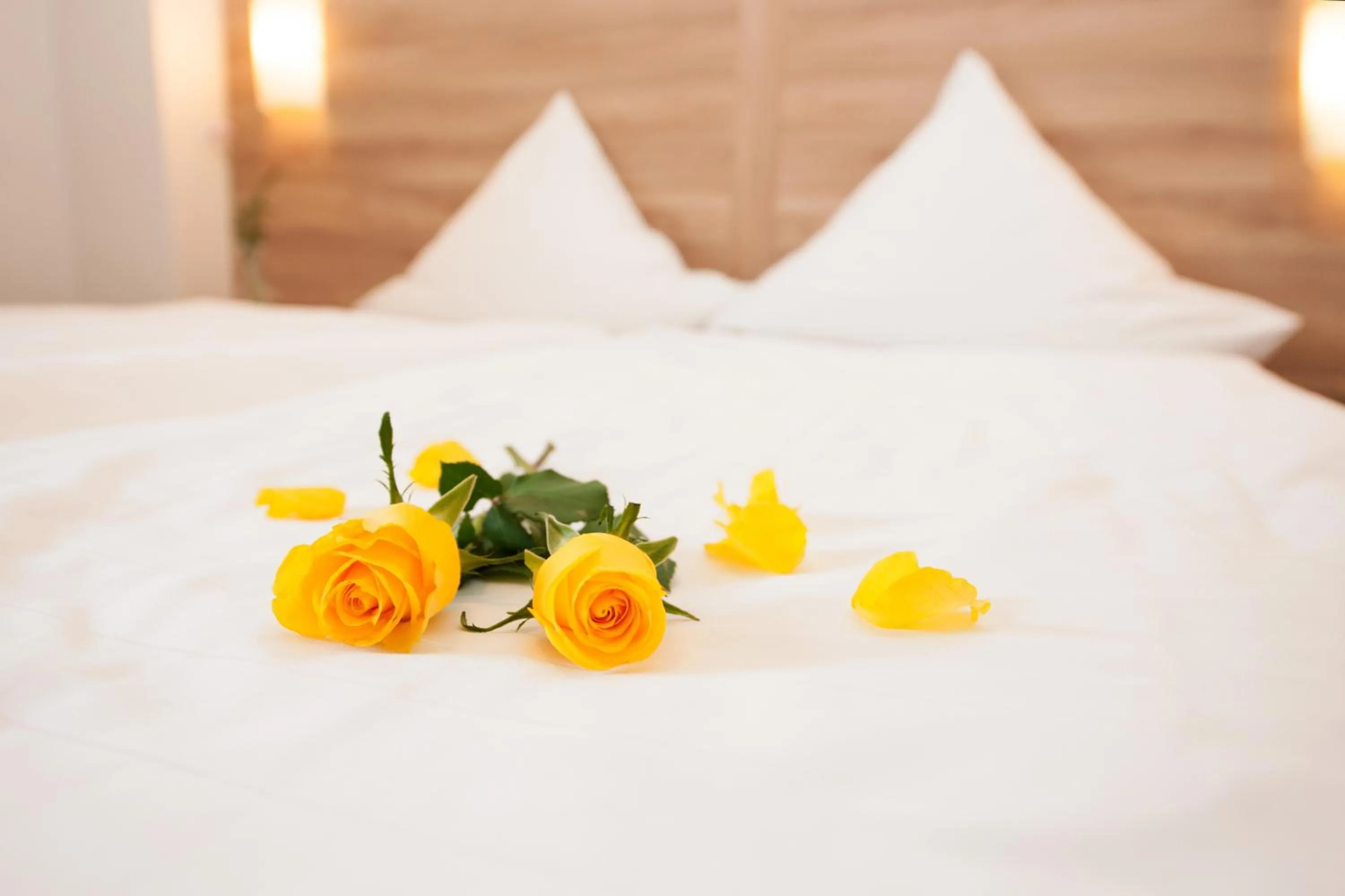 Decorative detail, Bed in Hotel Schützenburg