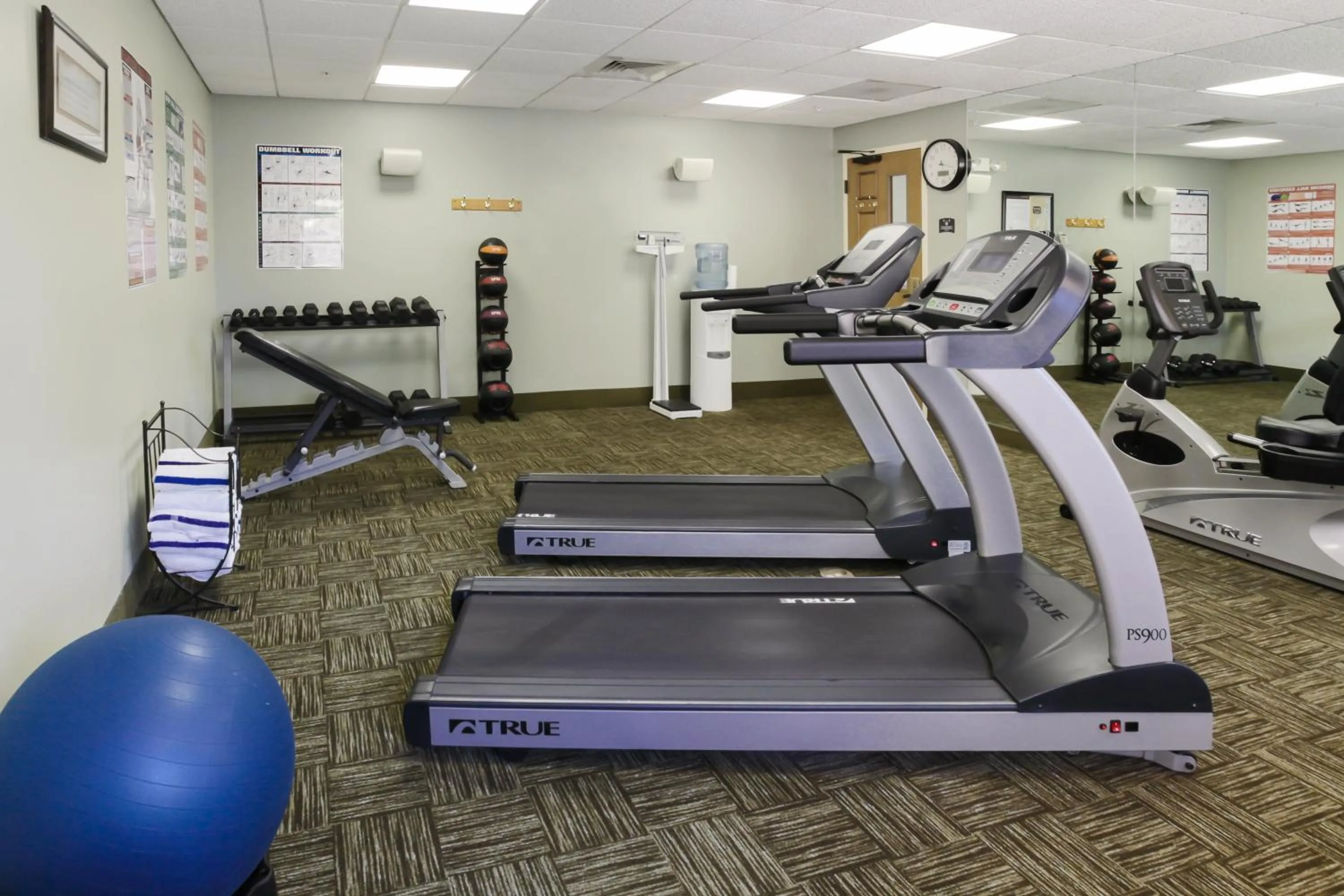 Fitness centre/facilities, Fitness Center/Facilities in Staybridge Suites Naples - Gulf Coast, an IHG Hotel