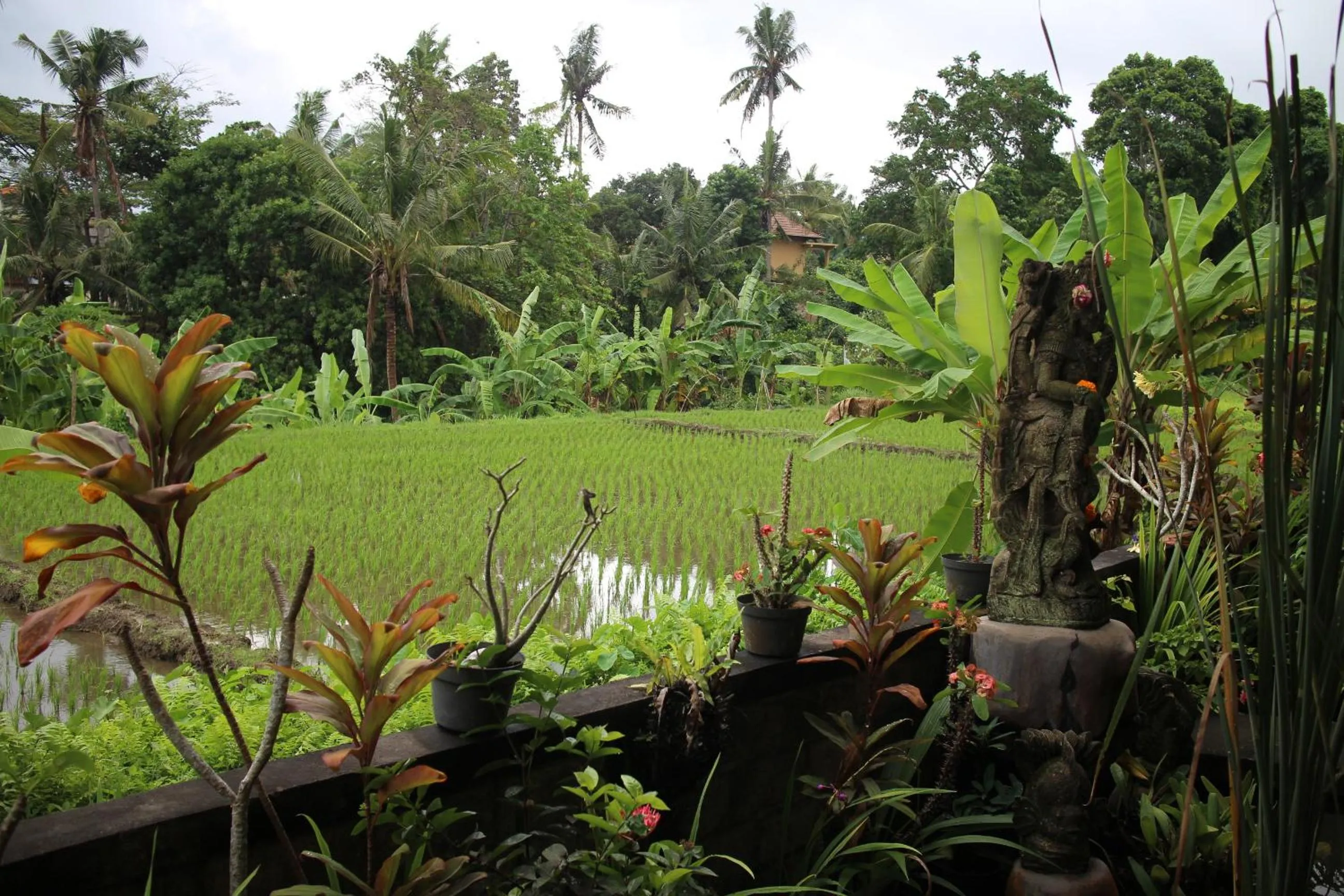Neighbourhood in Ubud Sensasi Bungalow