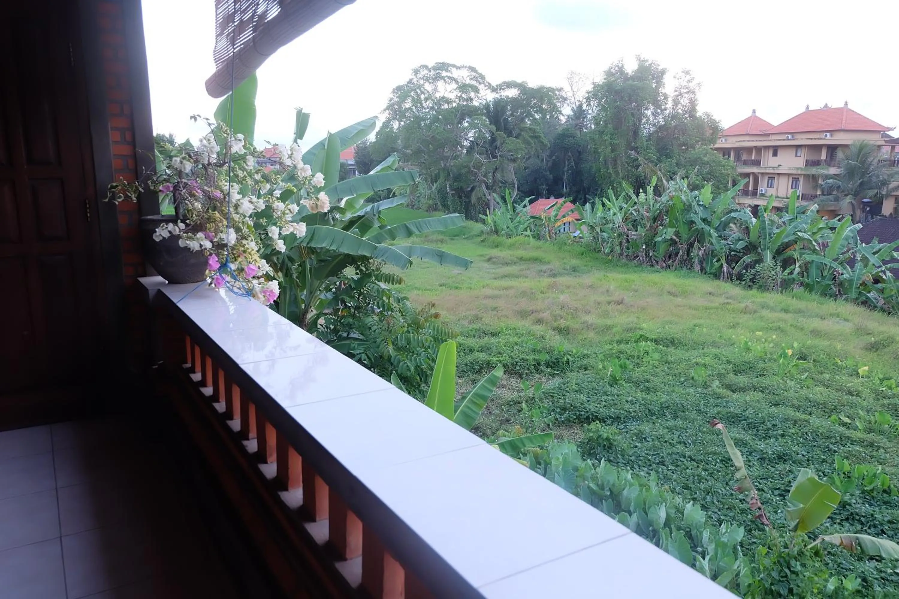 Natural landscape in Ubud Sensasi Bungalow