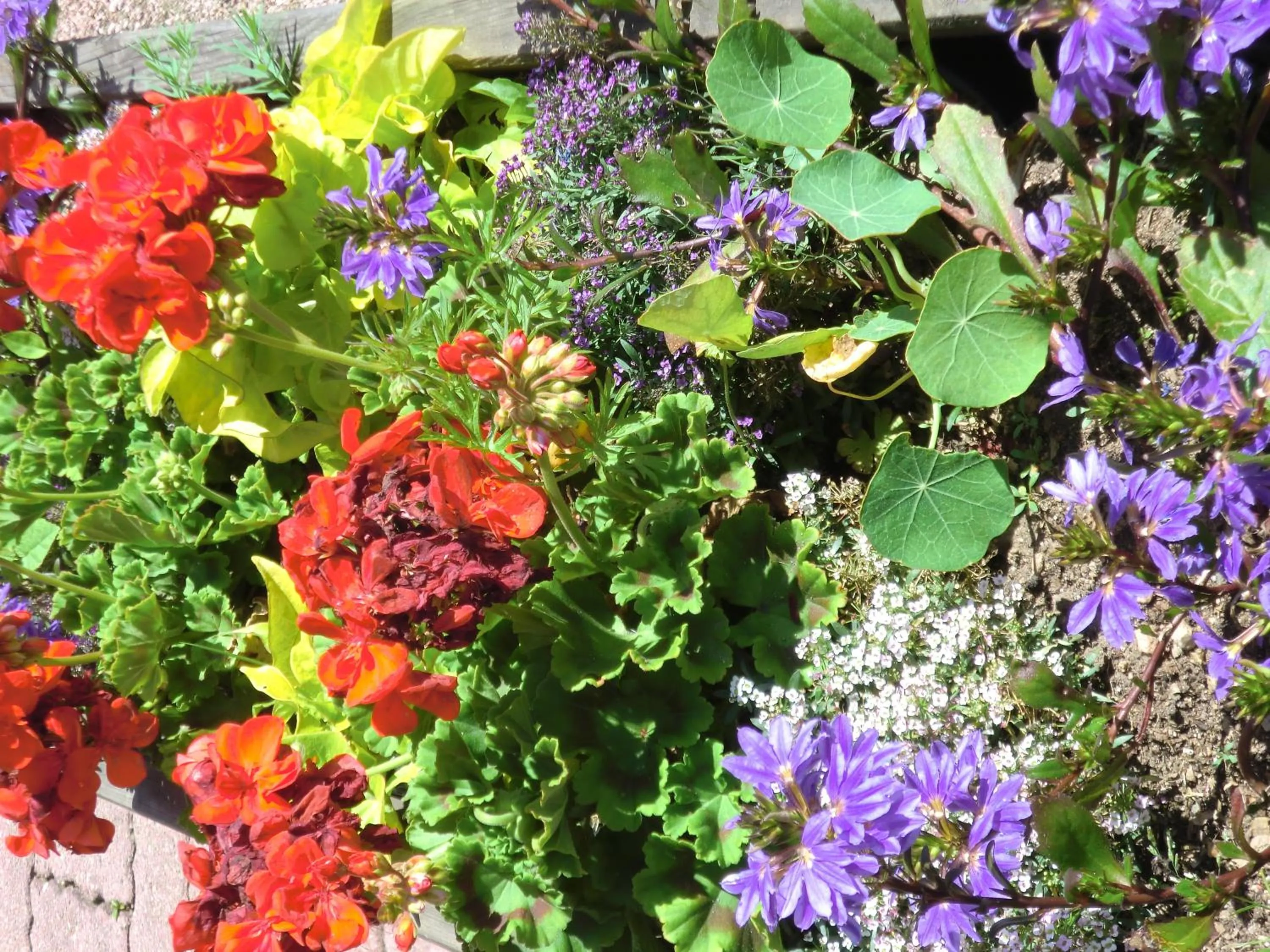 Balcony/Terrace in Hôtel La Vallée