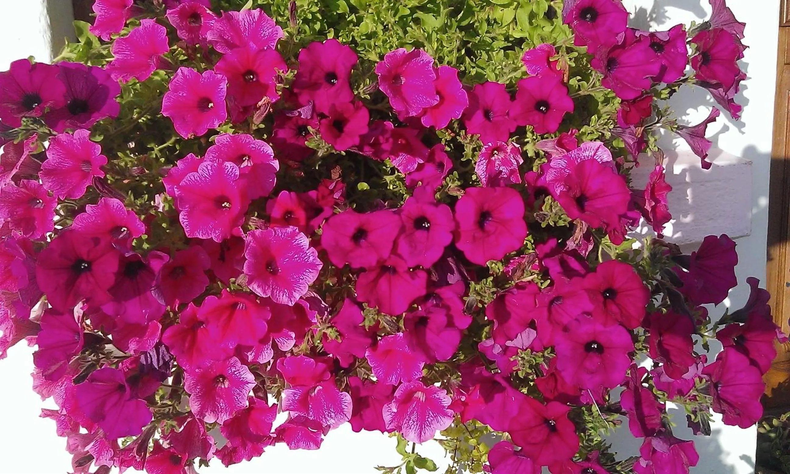 Spring in Hôtel La Vallée