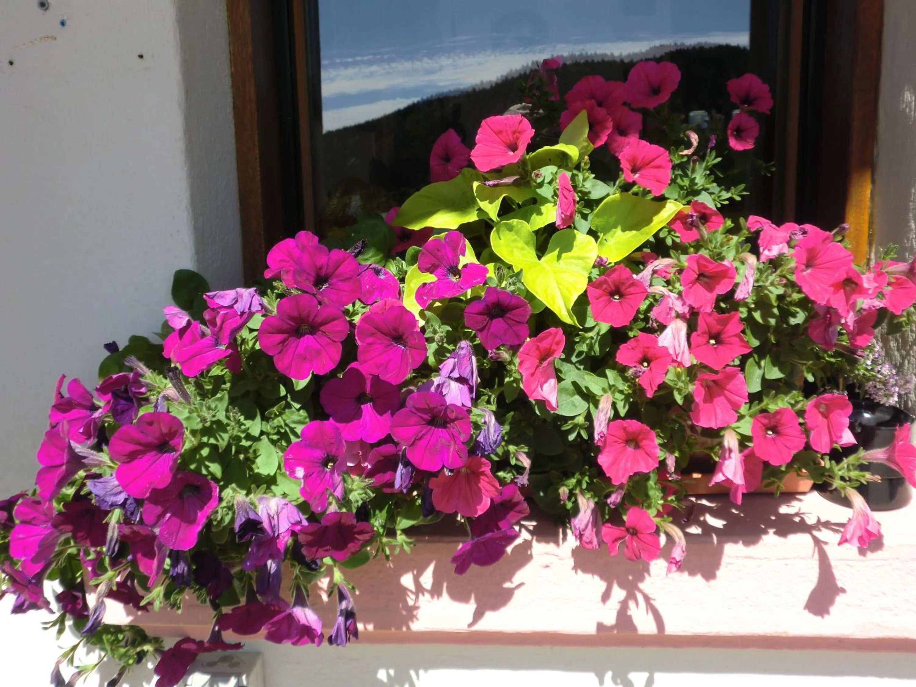 Facade/entrance in Hôtel La Vallée