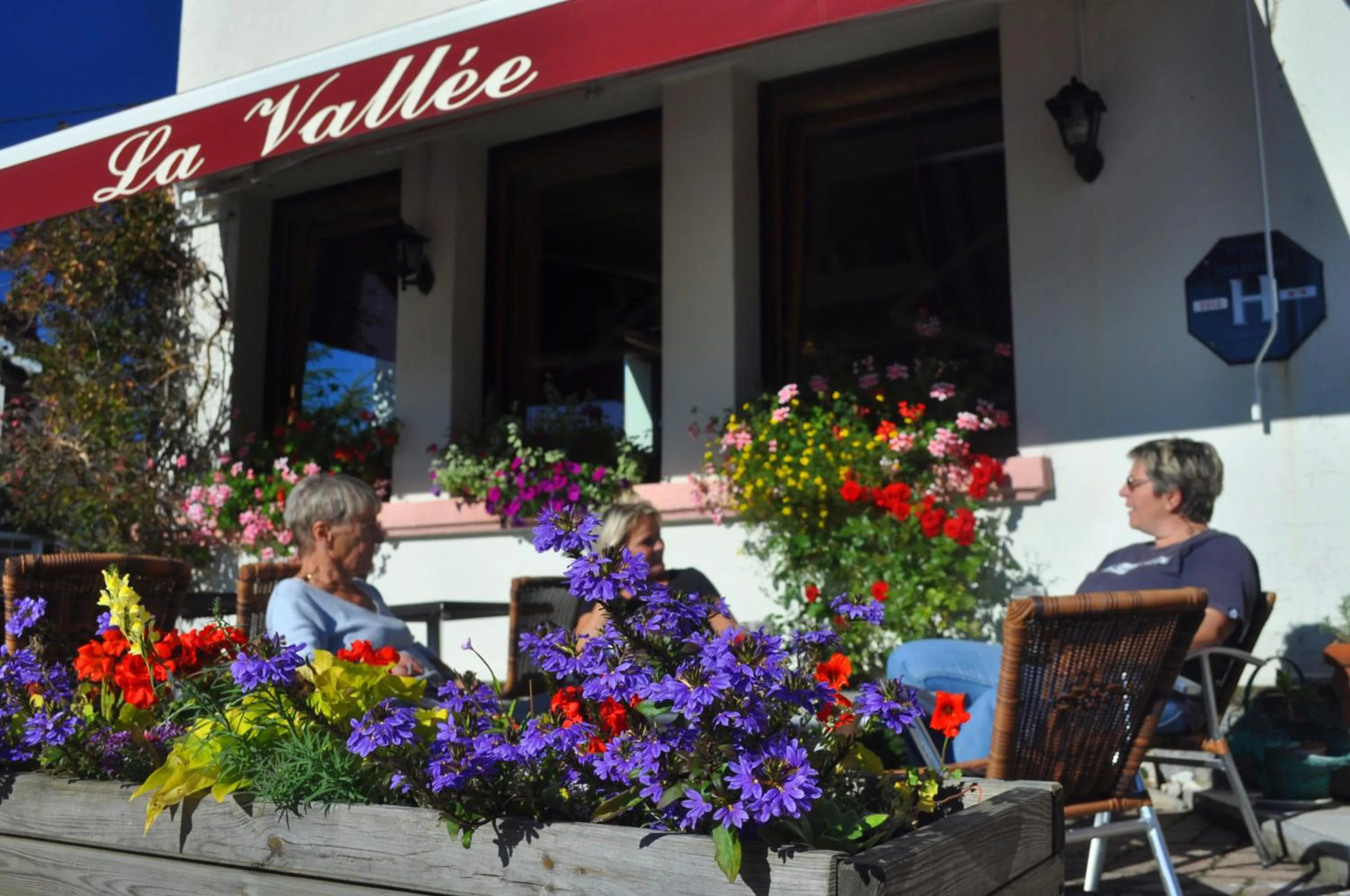 Balcony/Terrace in Hôtel La Vallée