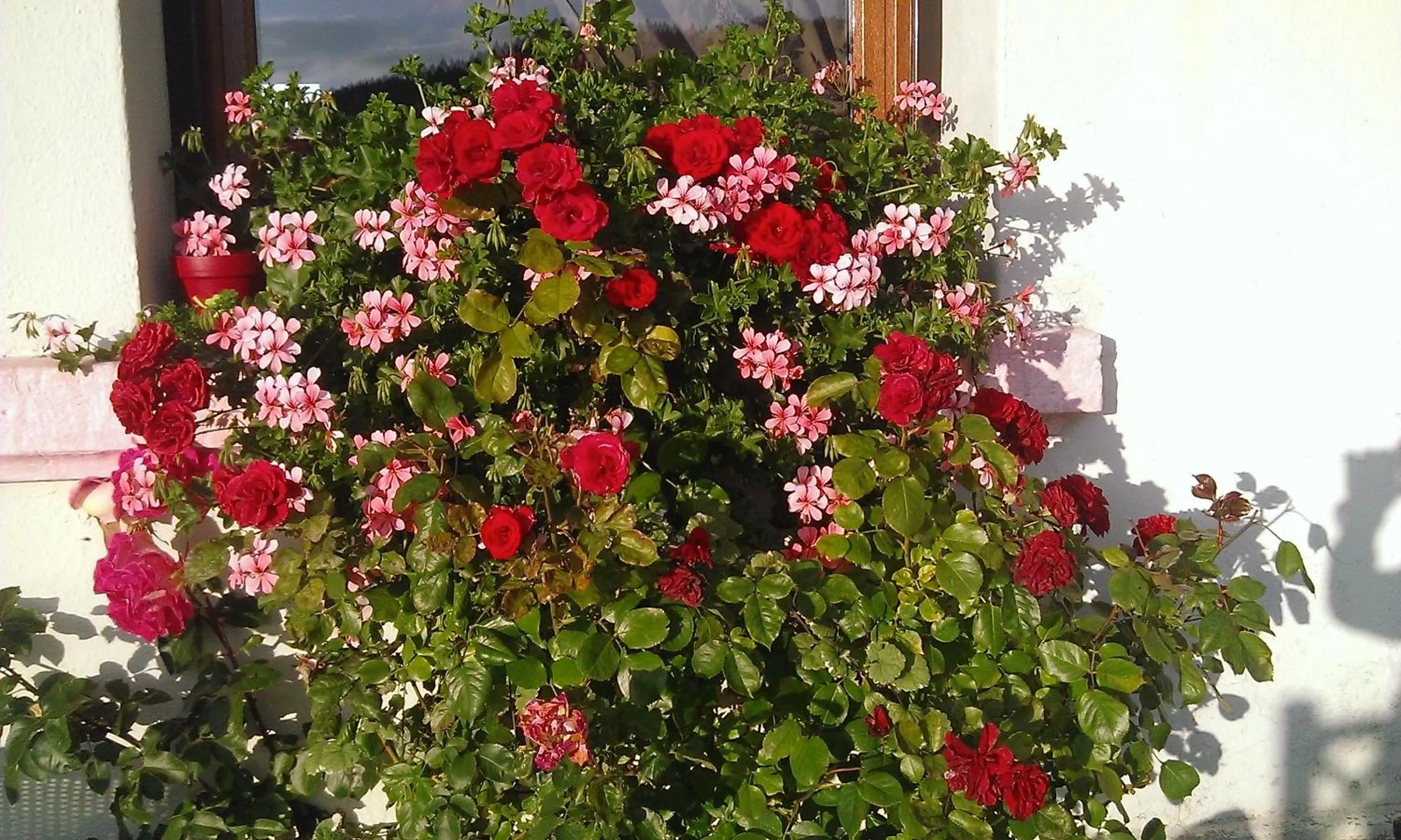 Facade/entrance in Hôtel La Vallée