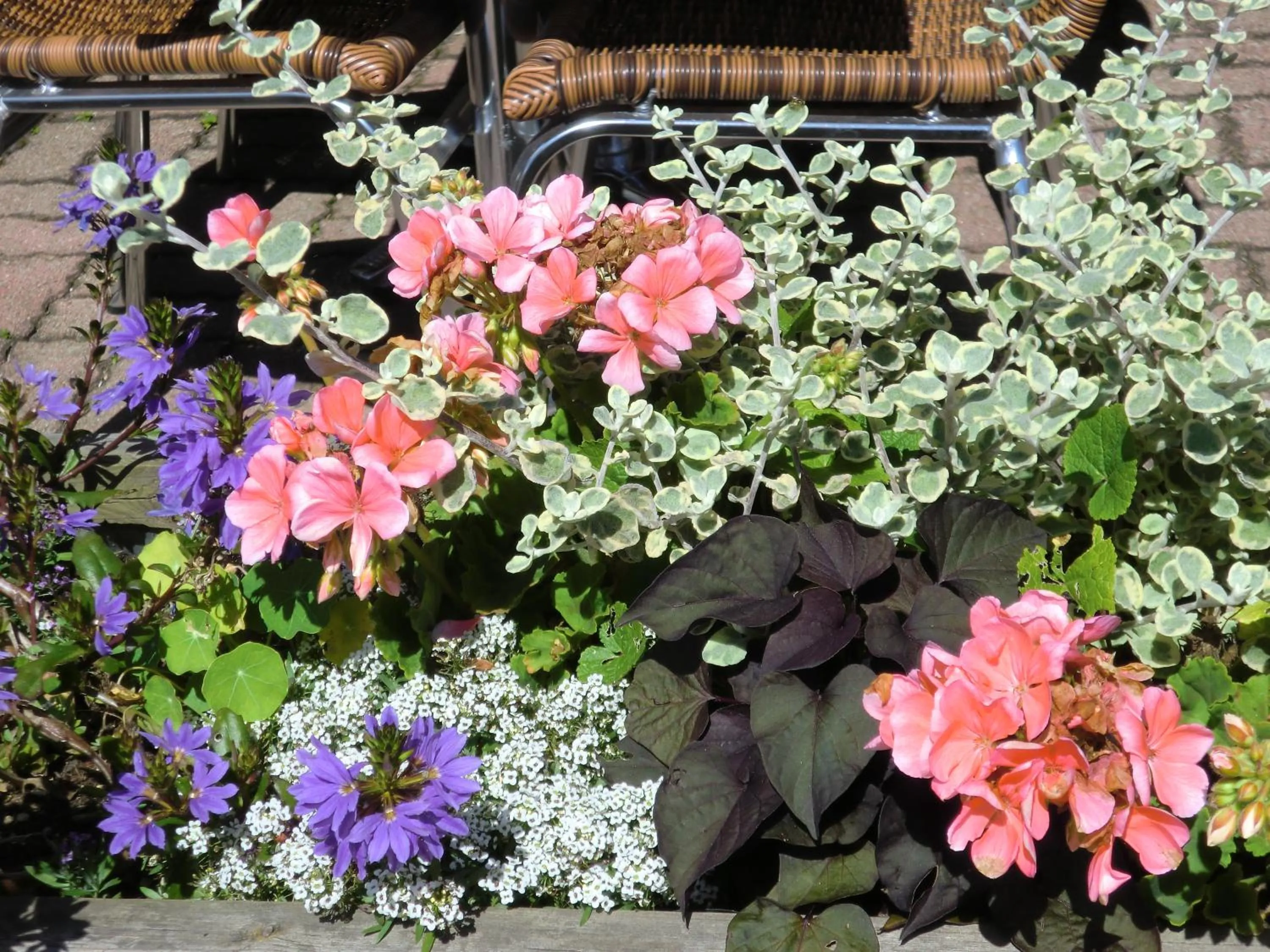 Balcony/Terrace in Hôtel La Vallée