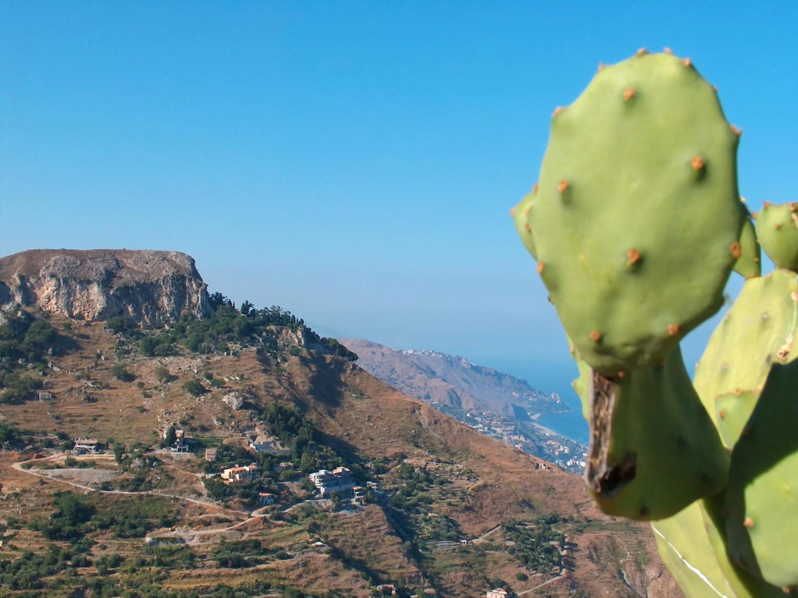 Property building in B&B Don Diego