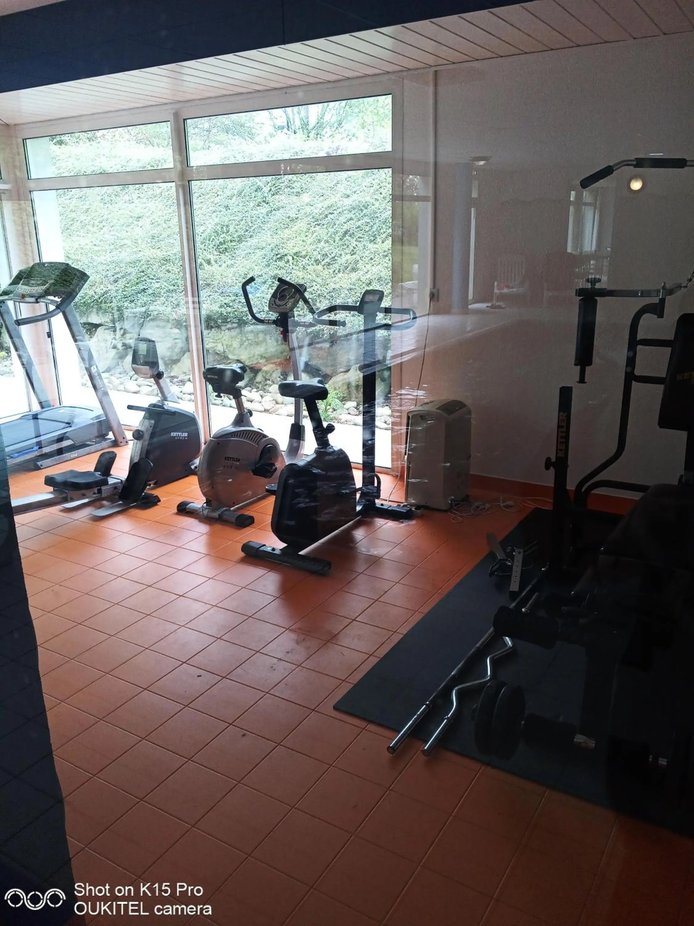 Le Roi du Sundgau près de la Horse - Mooslargue