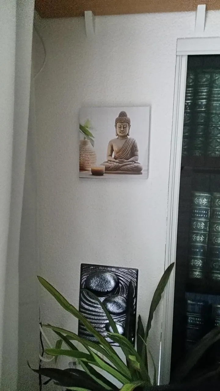 Le Roi du Sundgau près de la Horse - Mooslargue