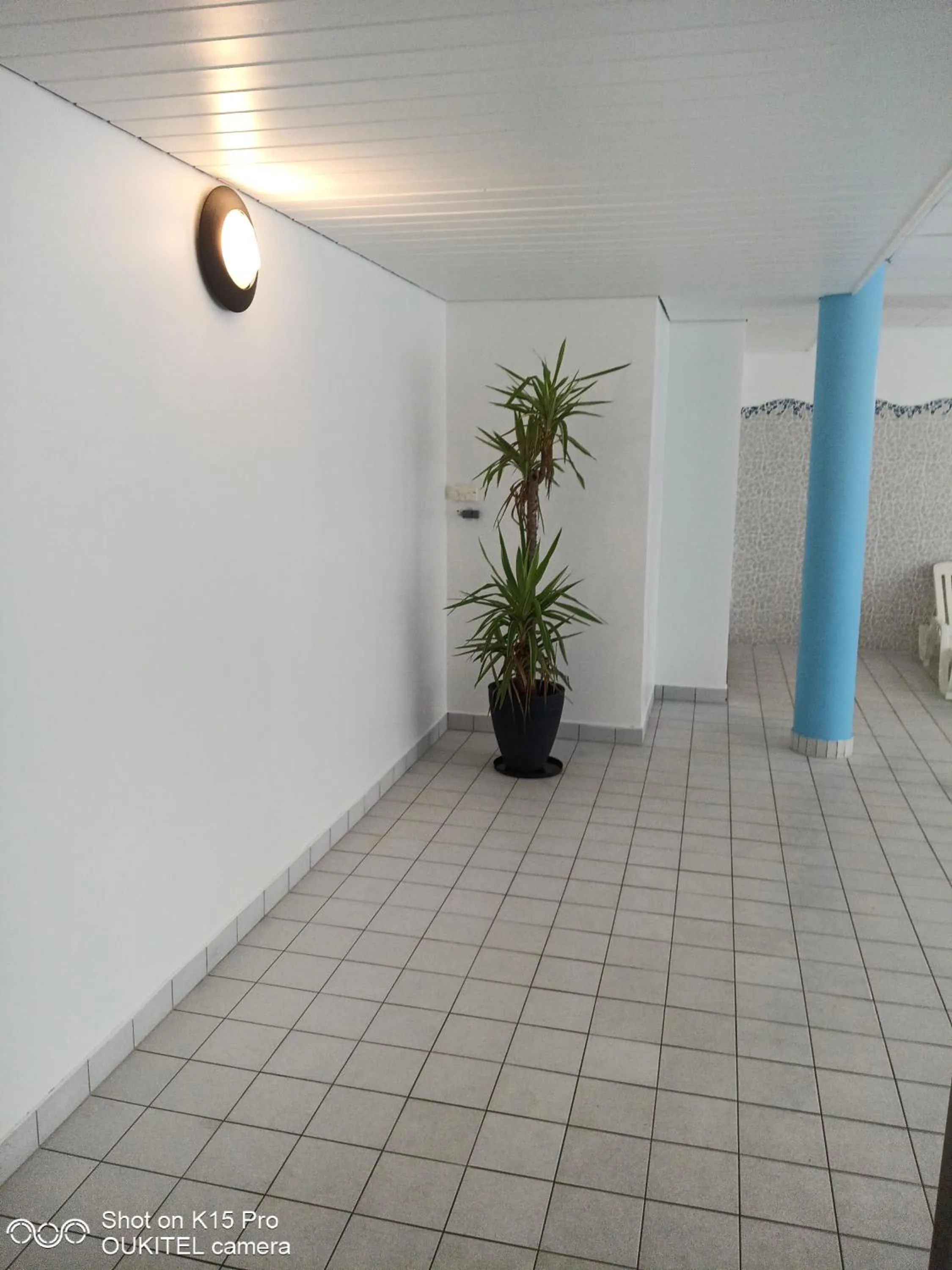 Le Roi du Sundgau près de la Horse - Mooslargue