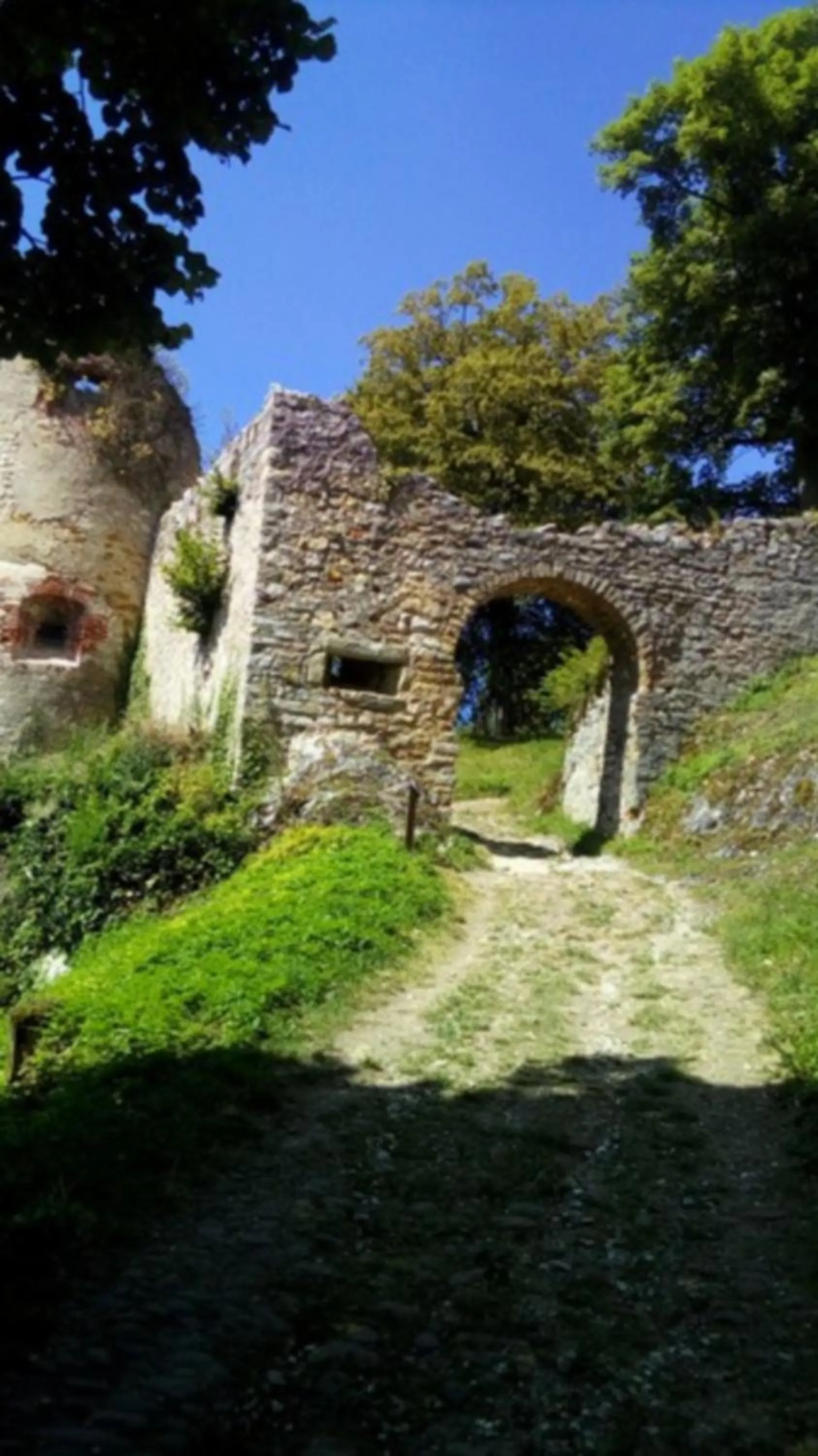 Hiking in Le Roi du Sundgau près de la Horse - Mooslargue