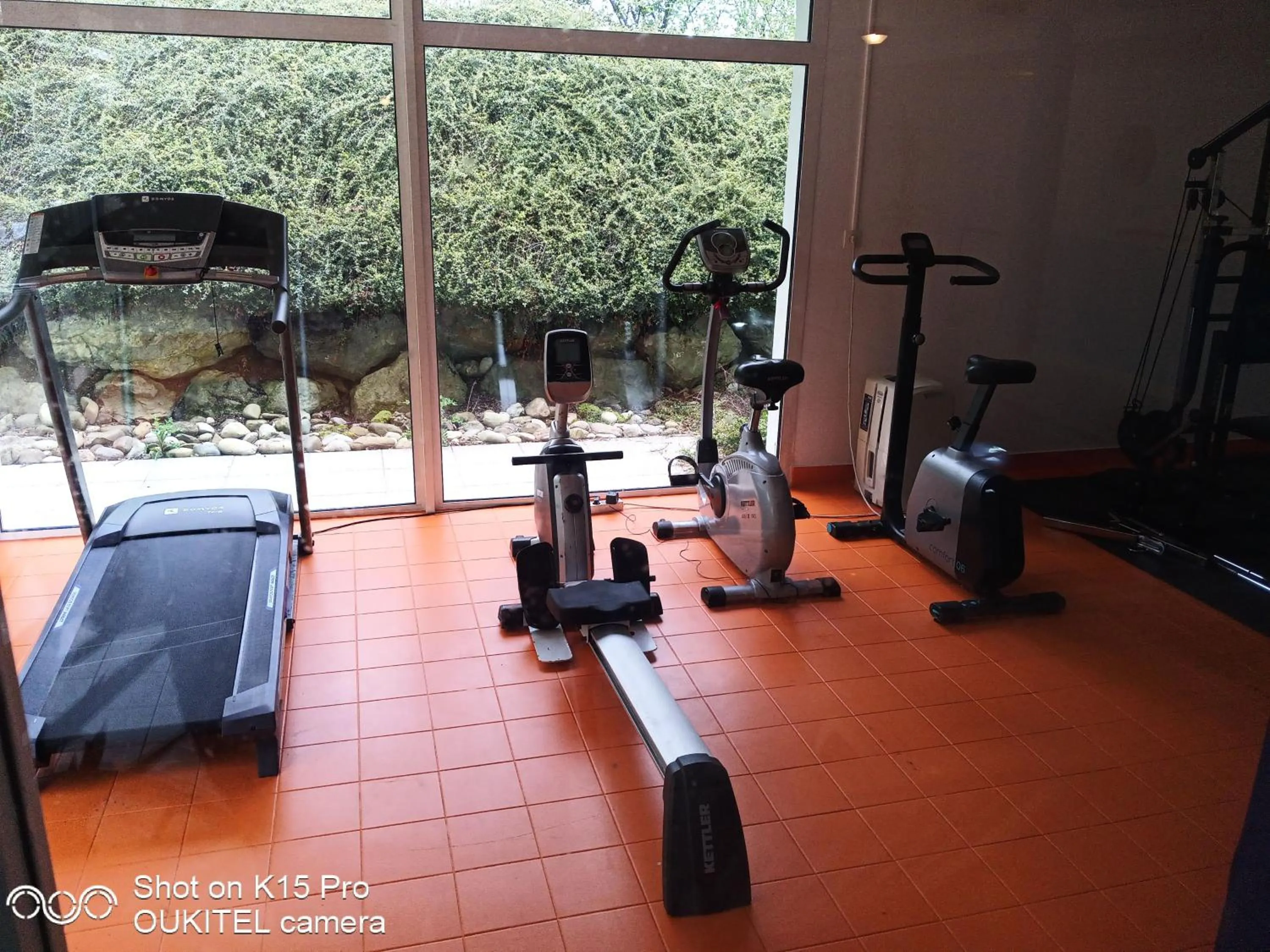 Le Roi du Sundgau près de la Horse - Mooslargue