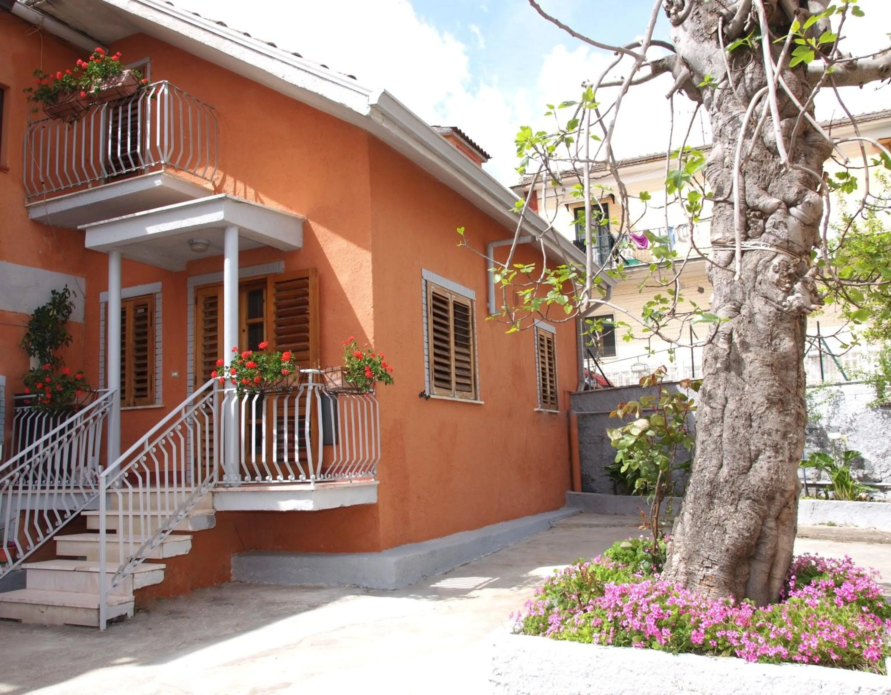Facade/entrance in Domus Tua