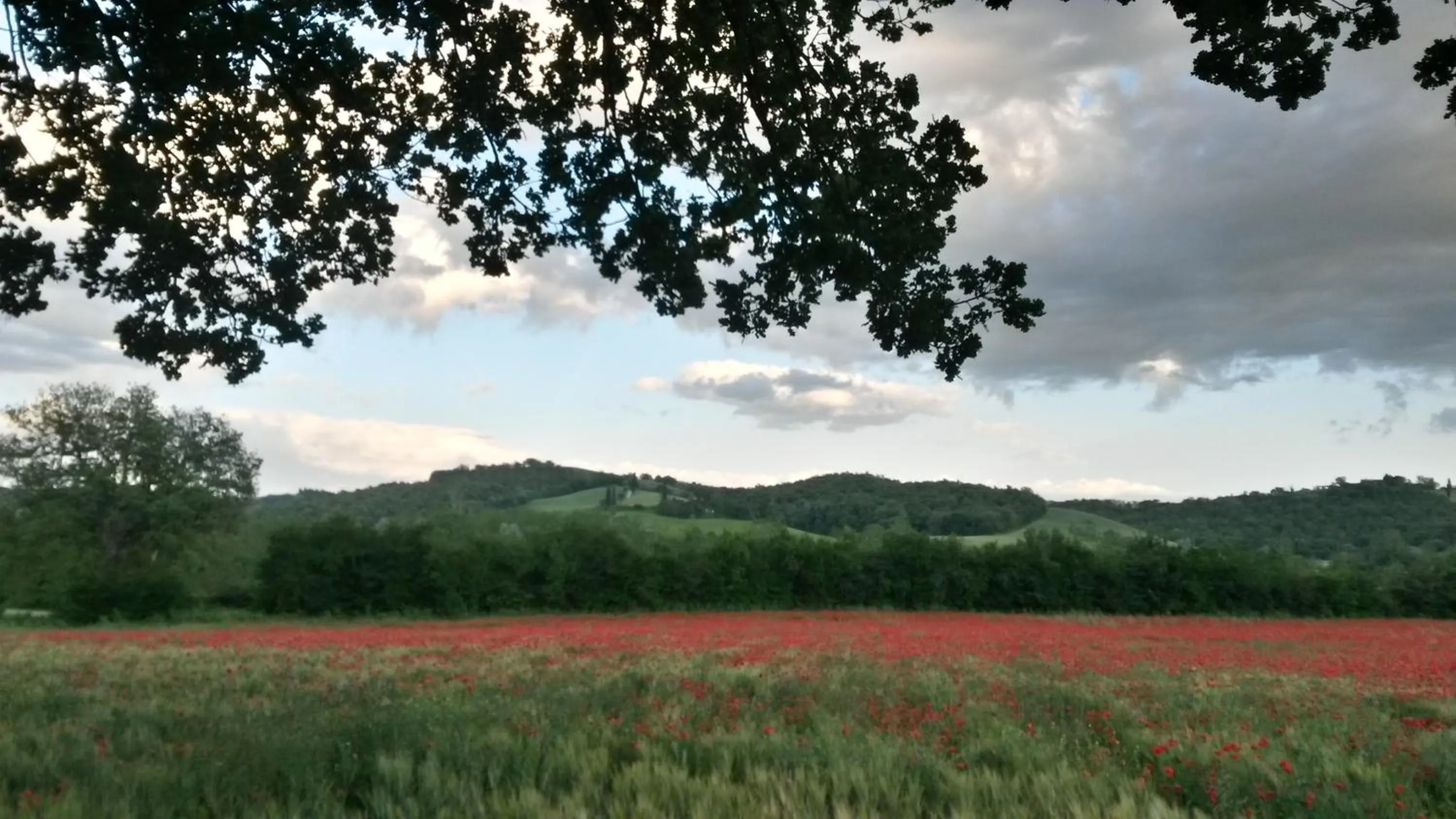Natural landscape in L'Incanto