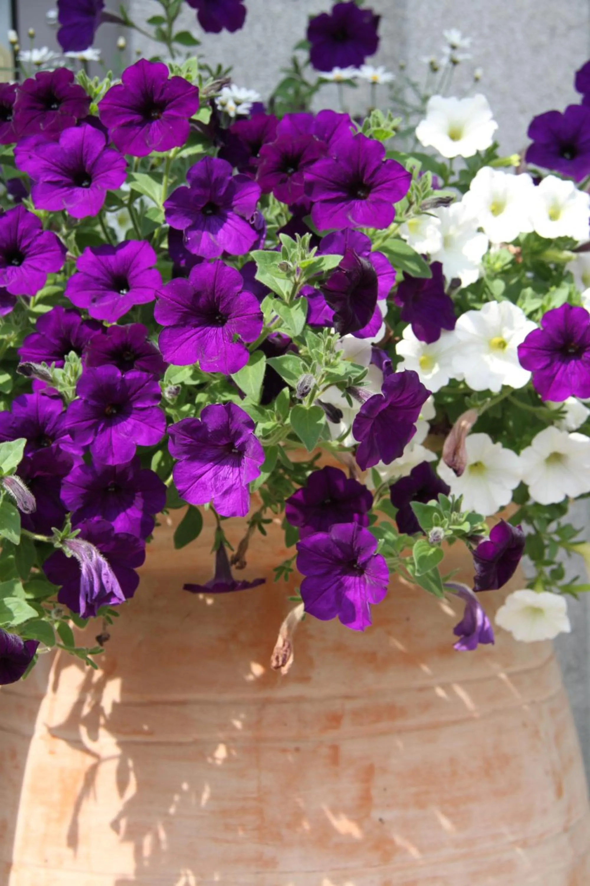 Other in Zilks Landgasthof Zum Frauenstein