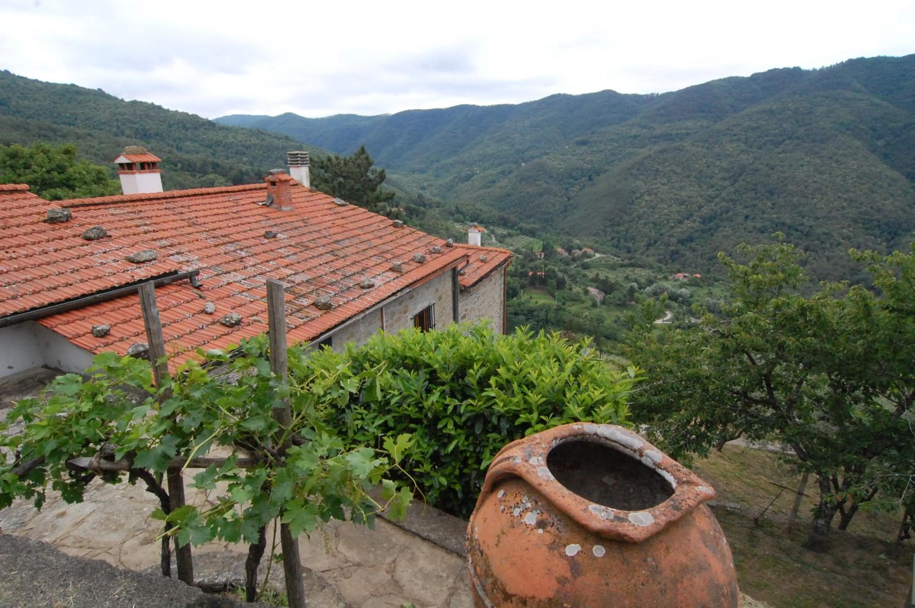 Other in Agriturismo Casapasserini