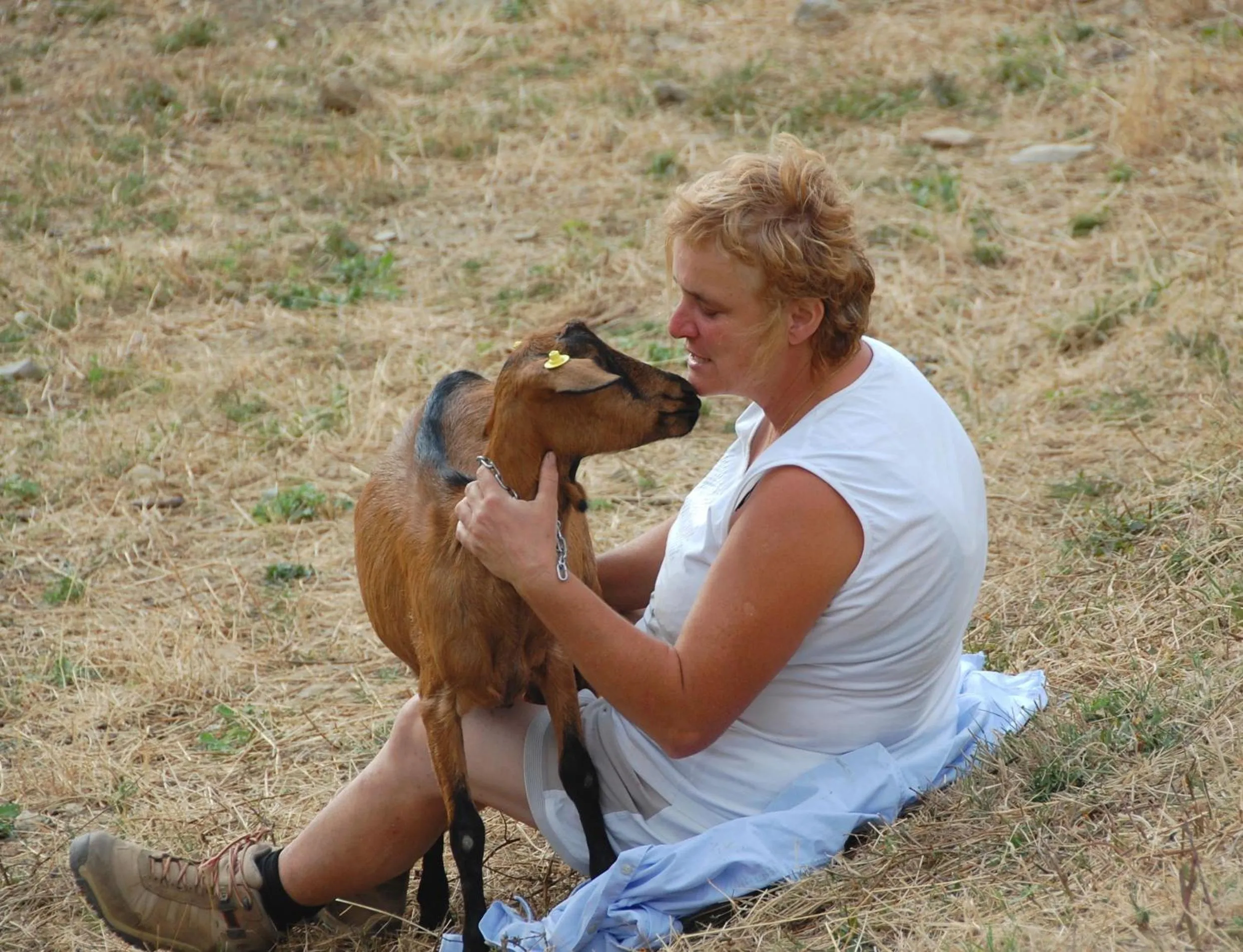 Pets in Agriturismo Casapasserini