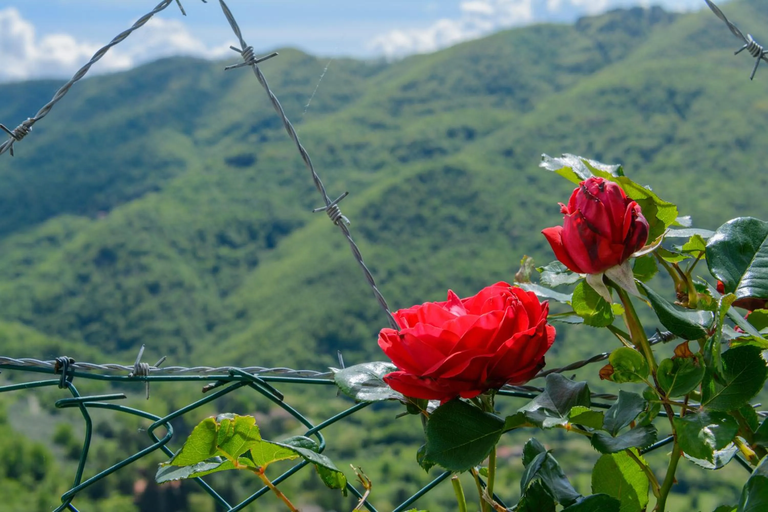 Agriturismo Casapasserini