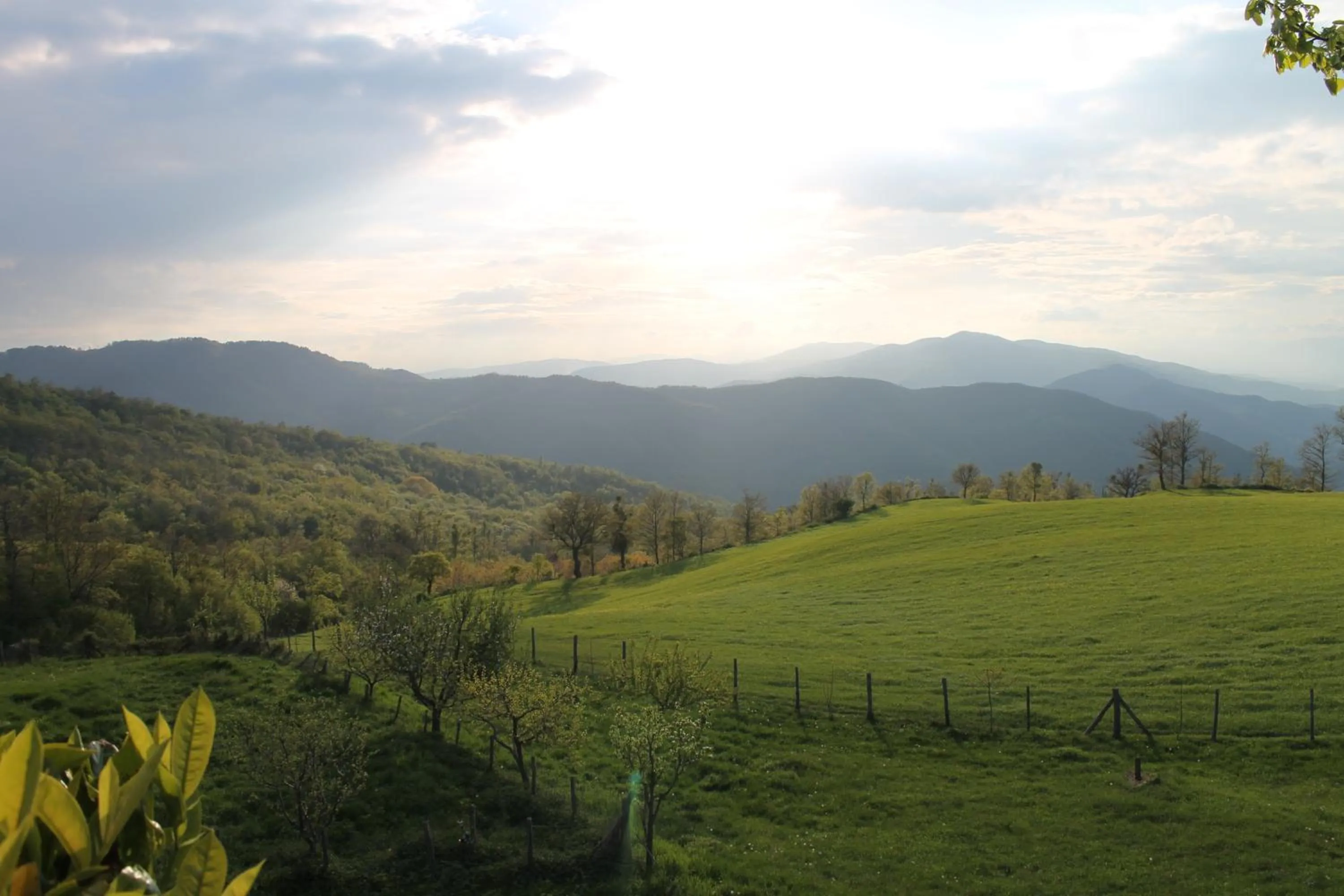 Natural landscape in Agriturismo Casapasserini