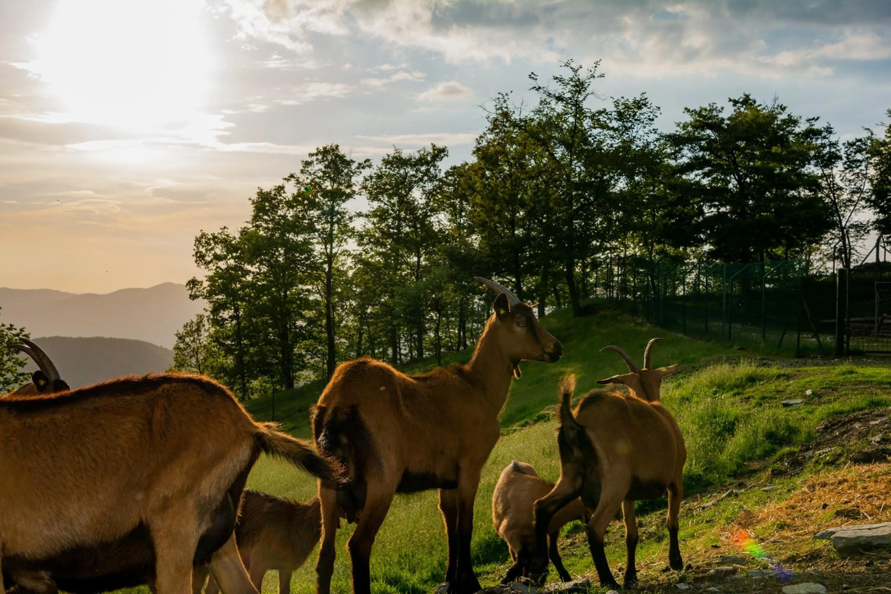 Agriturismo Casapasserini