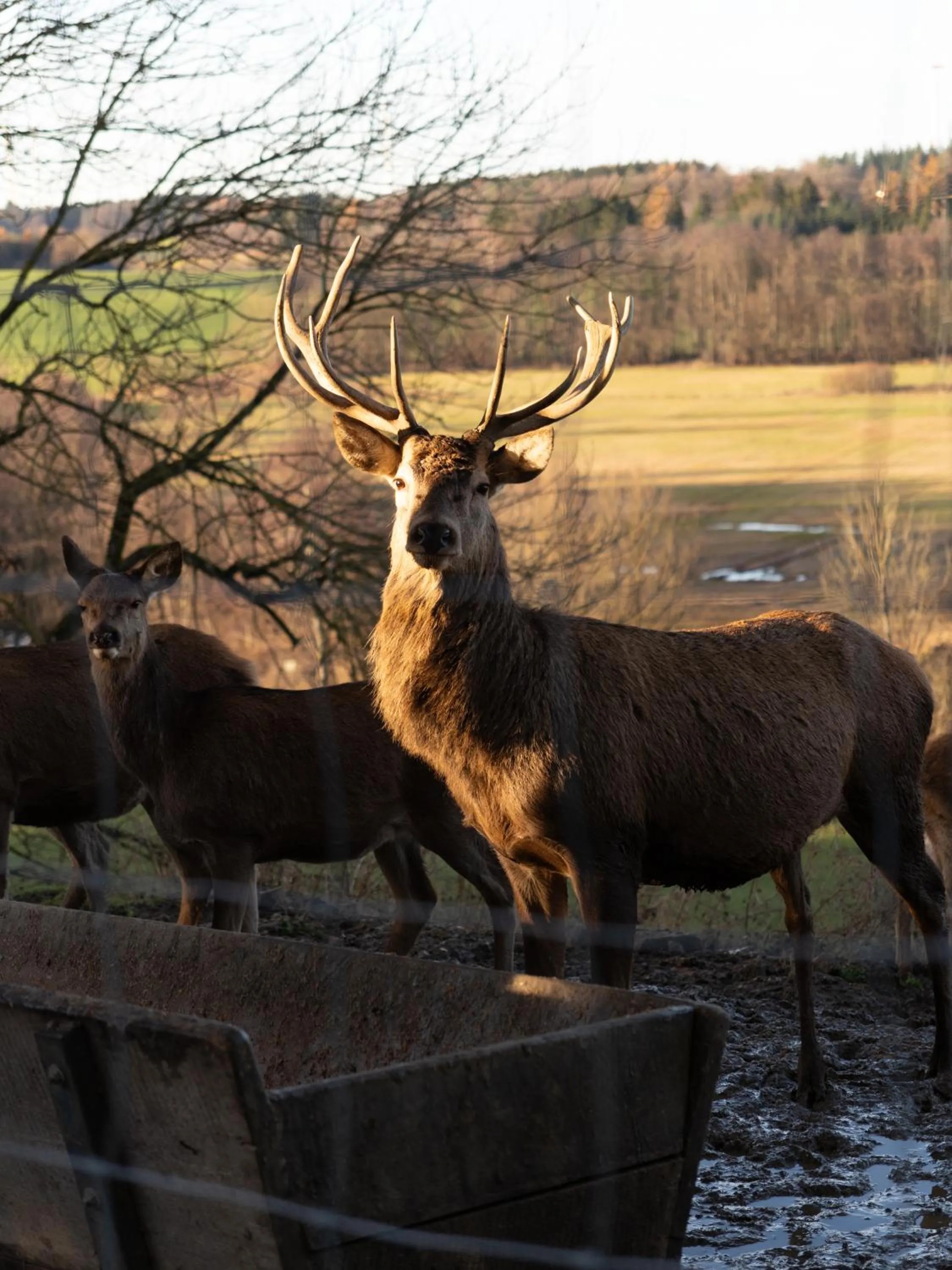 View (from property/room) in Gutshotel Odelzhausen