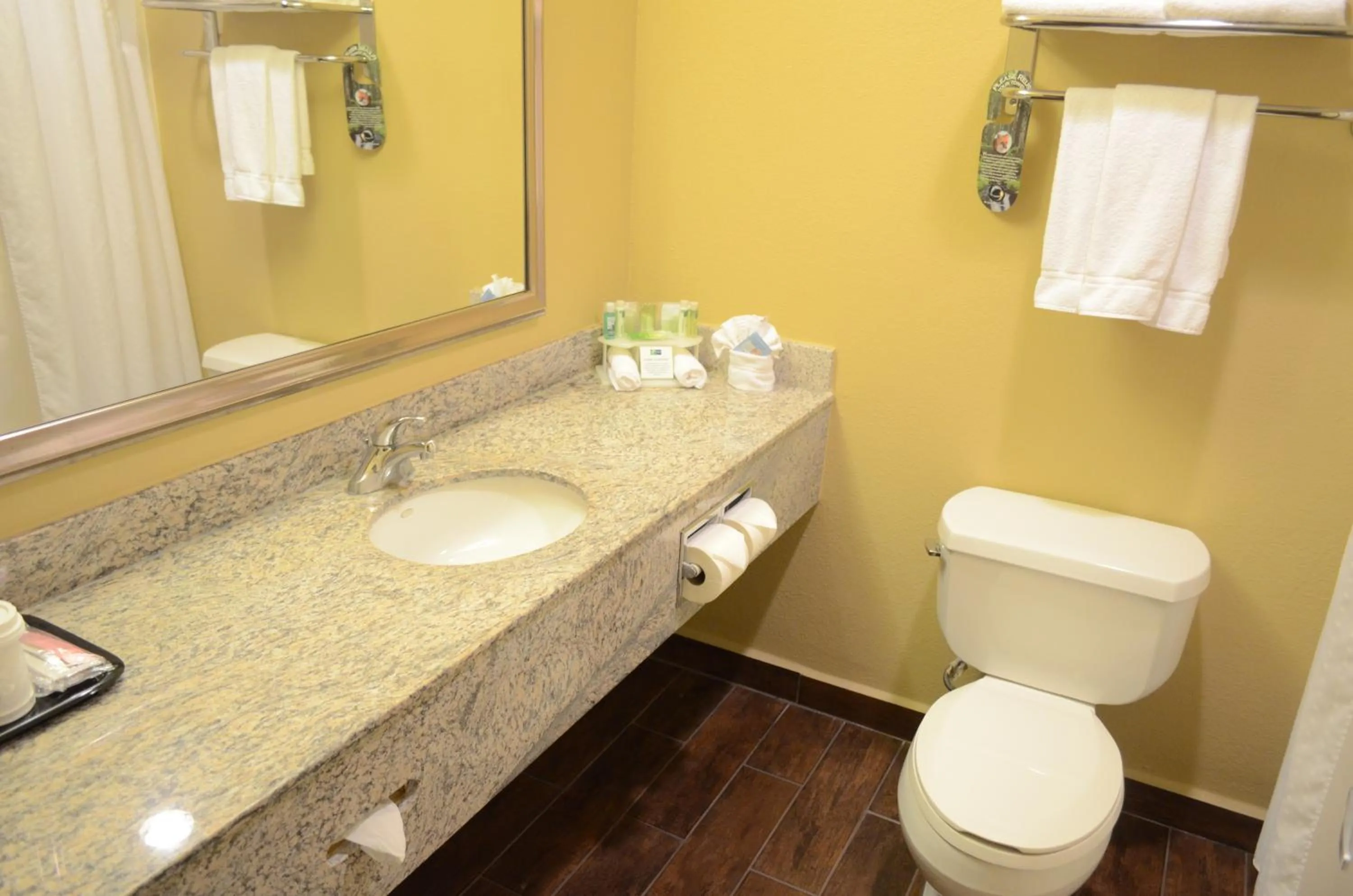 Bathroom in Holiday Inn Express Hotel & Suites Houston-Downtown Convention Center by IHG