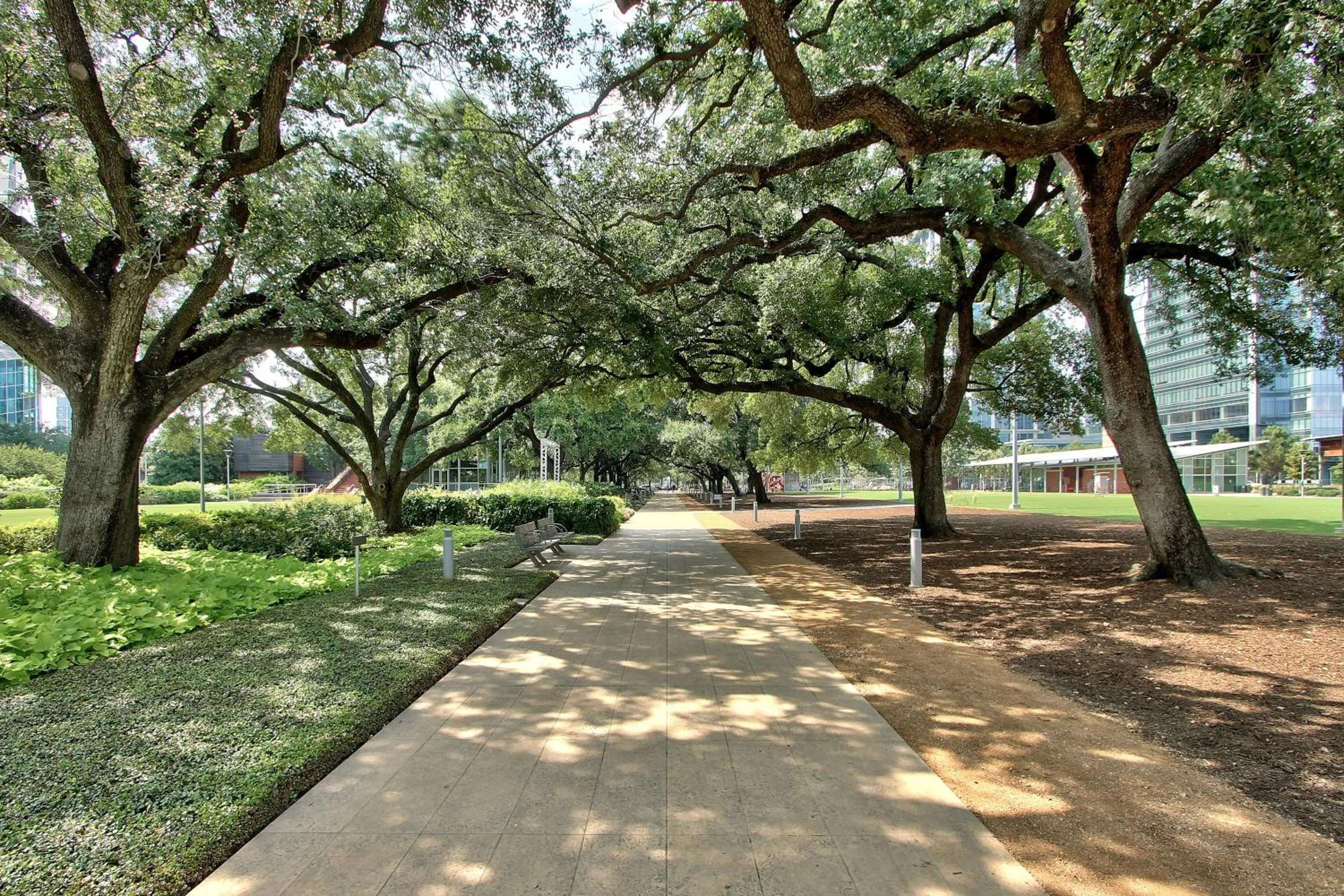 Area and facilities in Holiday Inn Express Hotel & Suites Houston-Downtown Convention Center by IHG