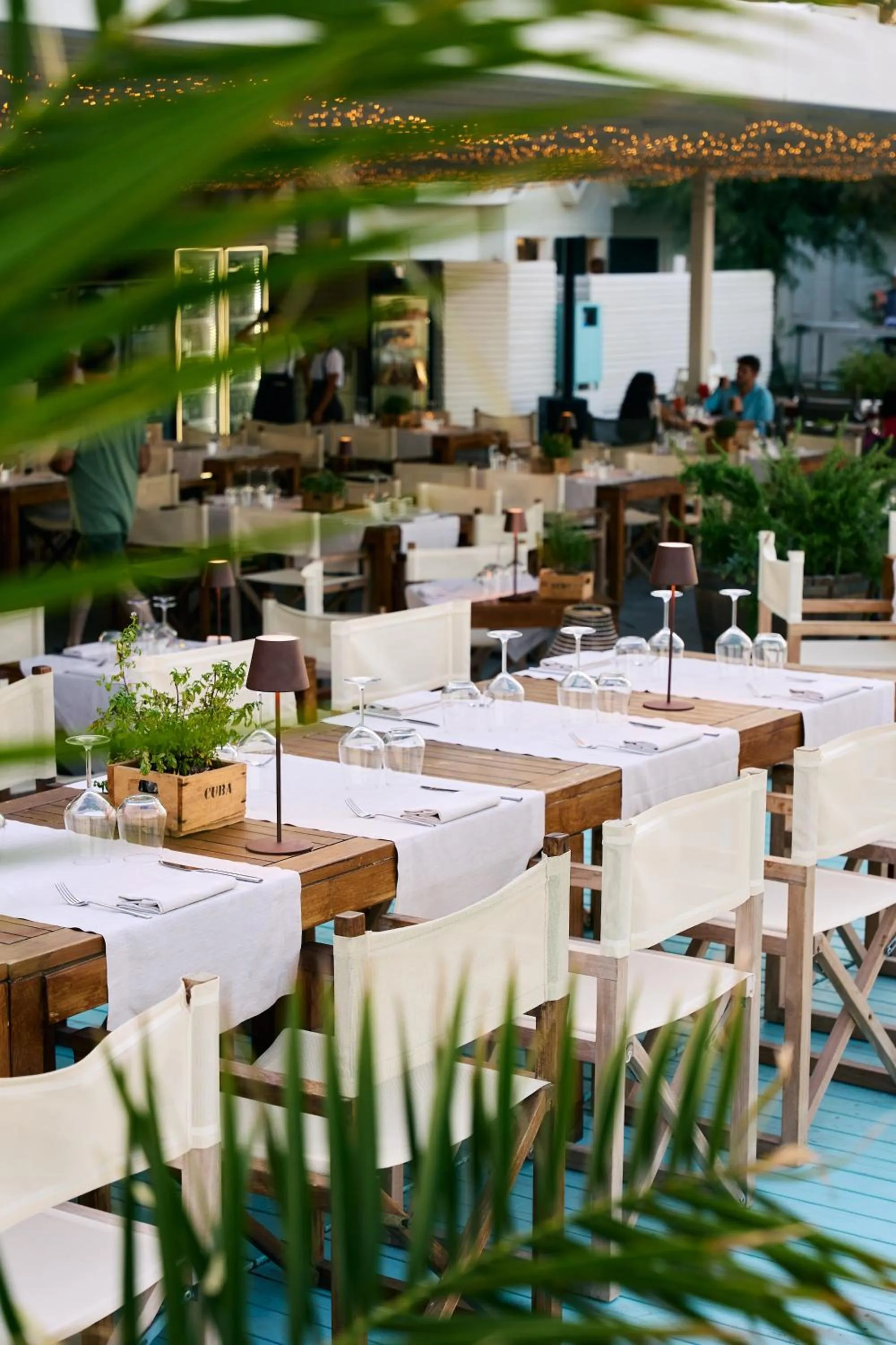 Restaurant/places to eat in MarePineta Resort