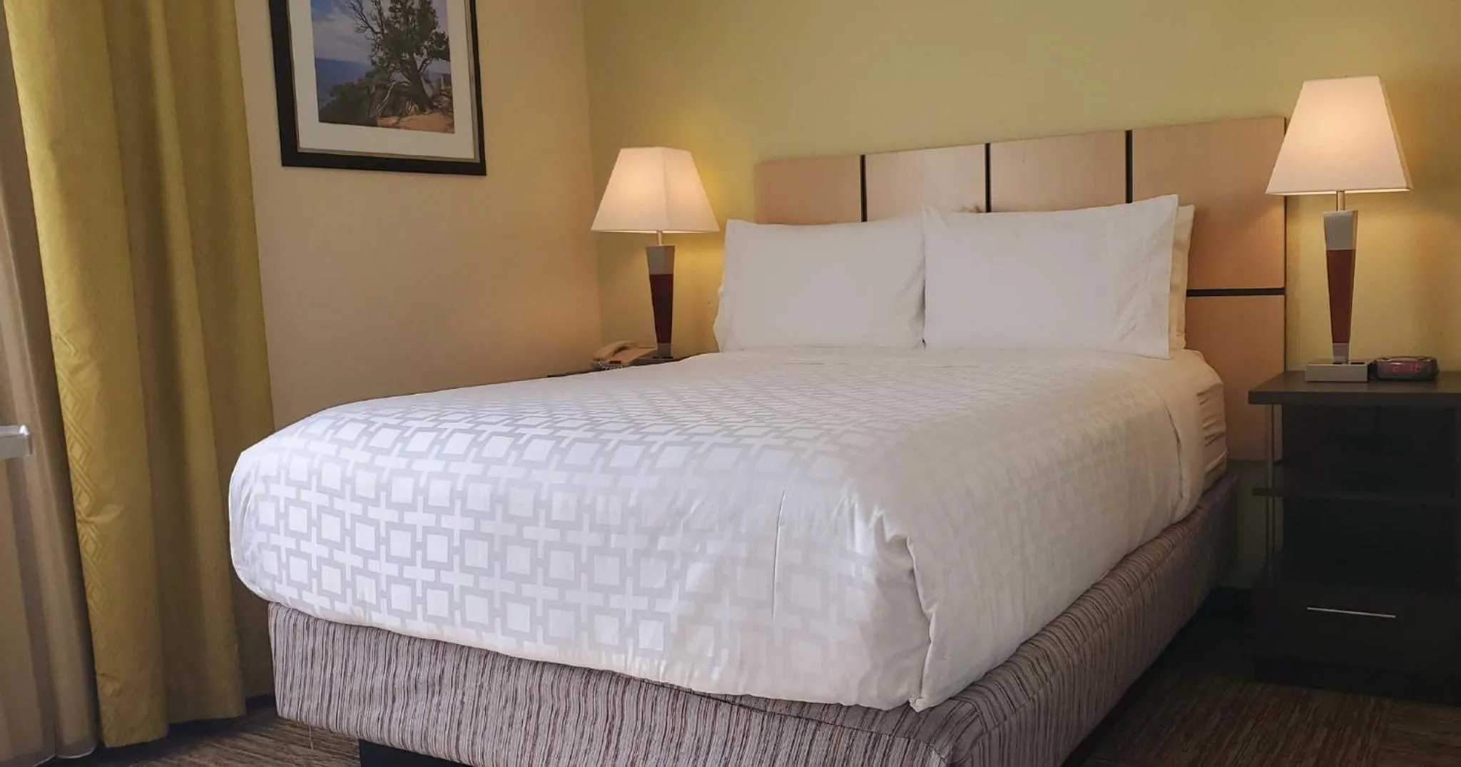 Photo of the whole room, Bed in Candlewood Suites Houston Medical Center by IHG