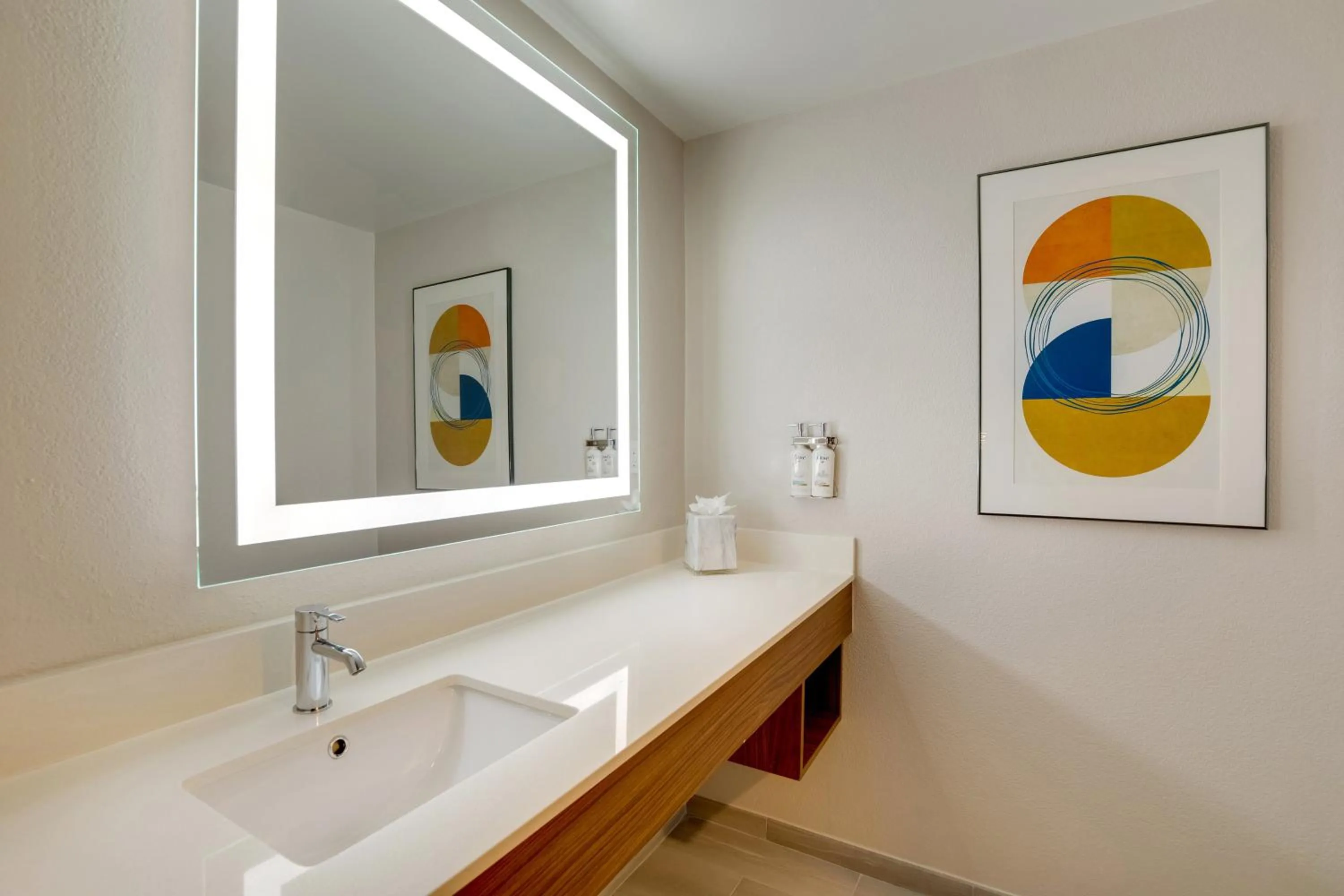 Bathroom in Holiday Inn Express I-95 Capitol Beltway - Largo by IHG