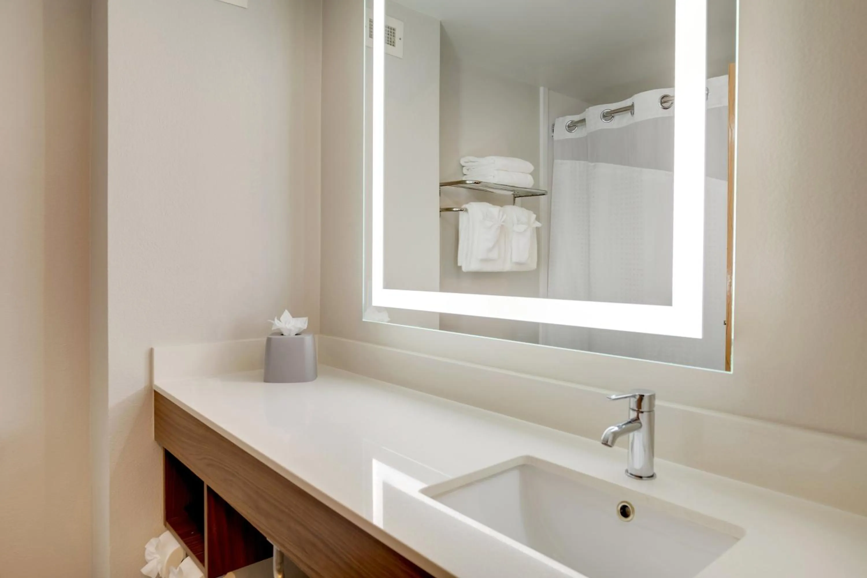 Bathroom in Holiday Inn Express I-95 Capitol Beltway - Largo by IHG