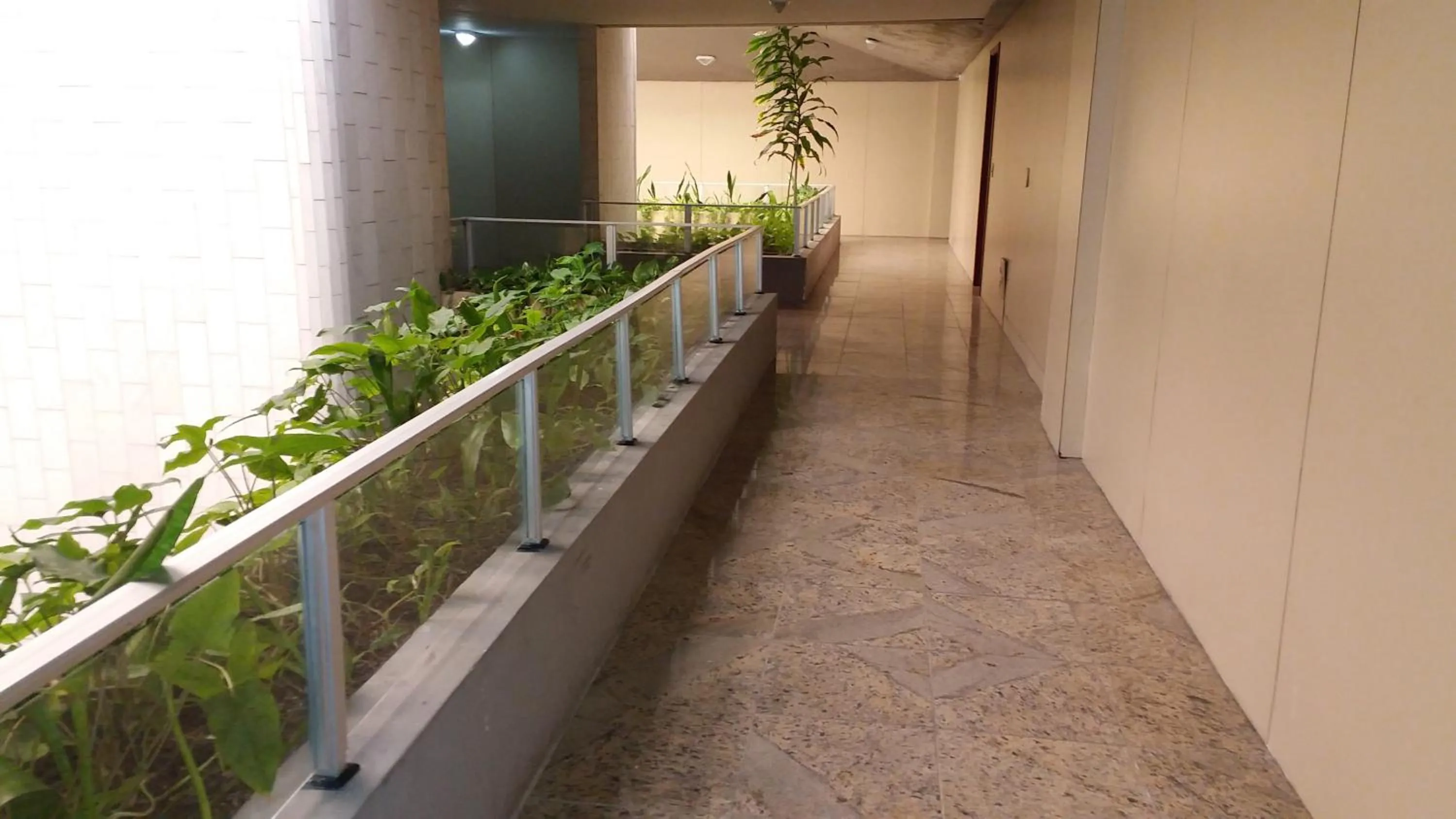 Property building in Summer Dream