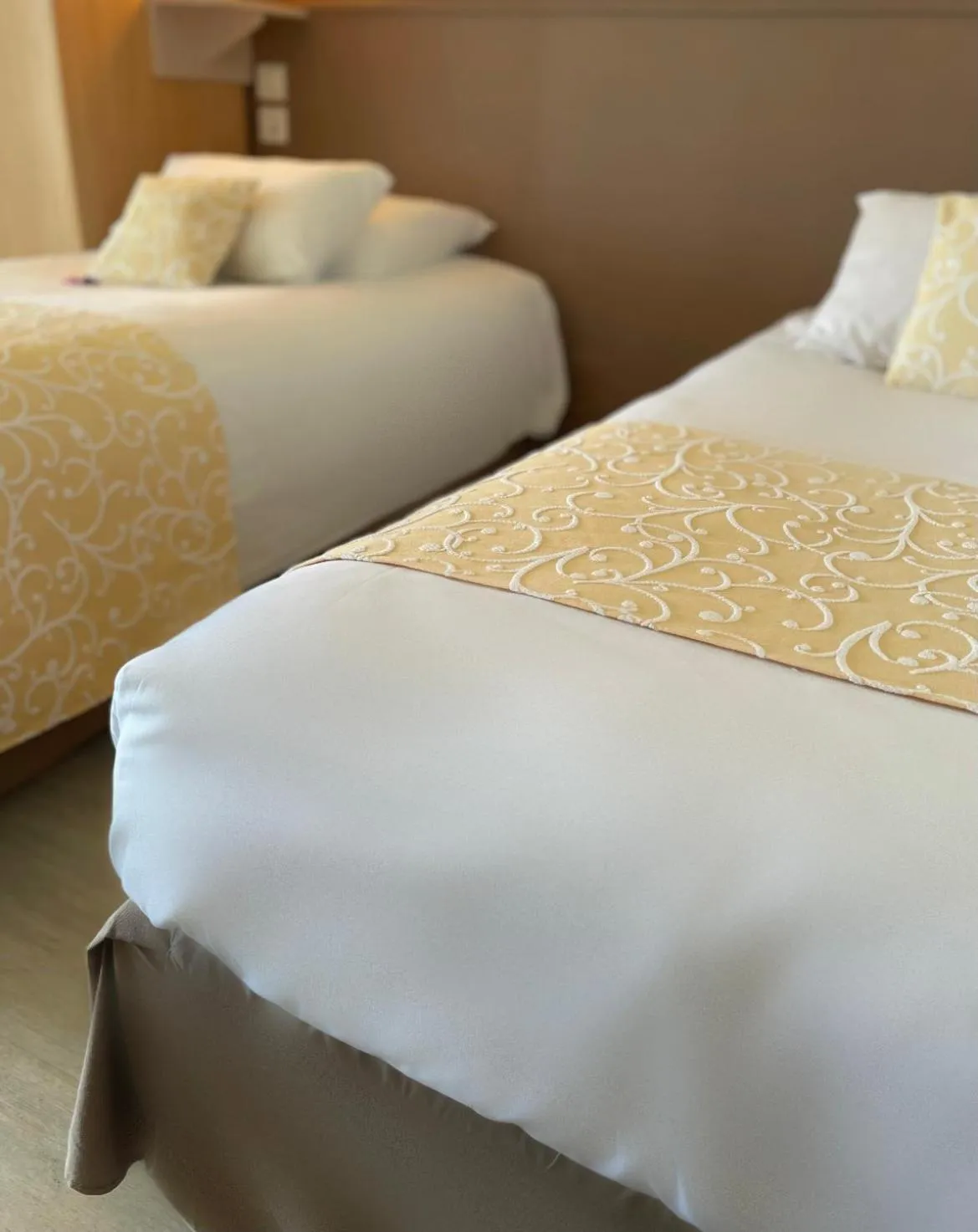 TV and multimedia, Bed in Hôtel Côté Sud Léman