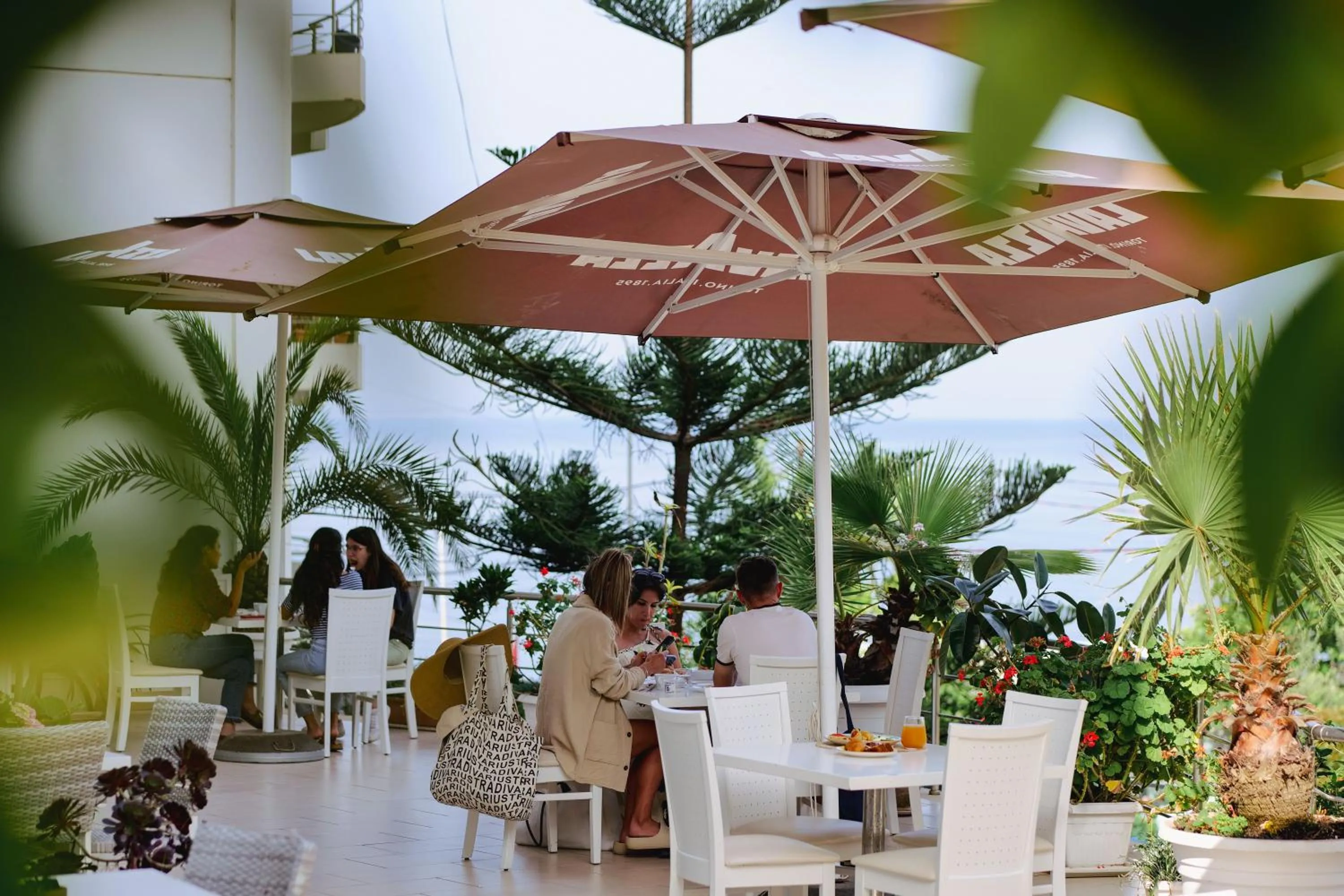 Restaurant/places to eat in Hotel Oasis