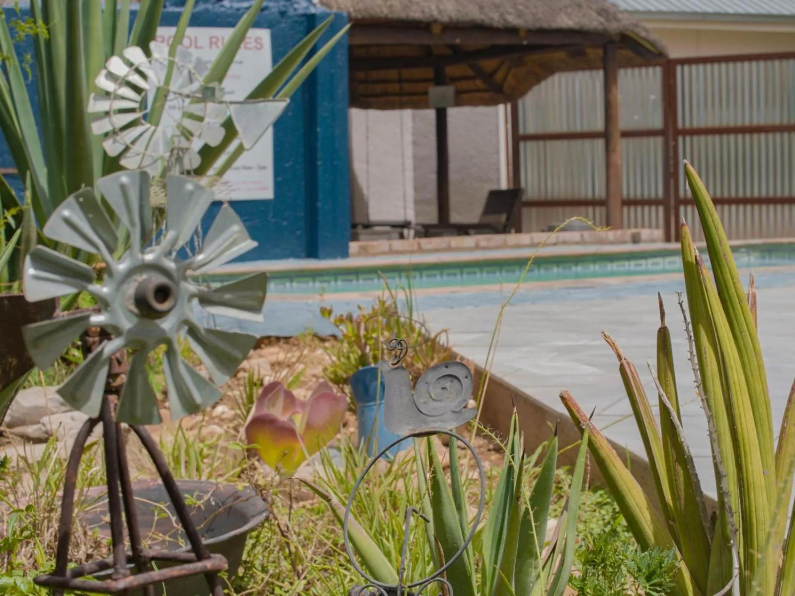 Lounge or bar in Kate's Nest Guesthouse & Backpackers