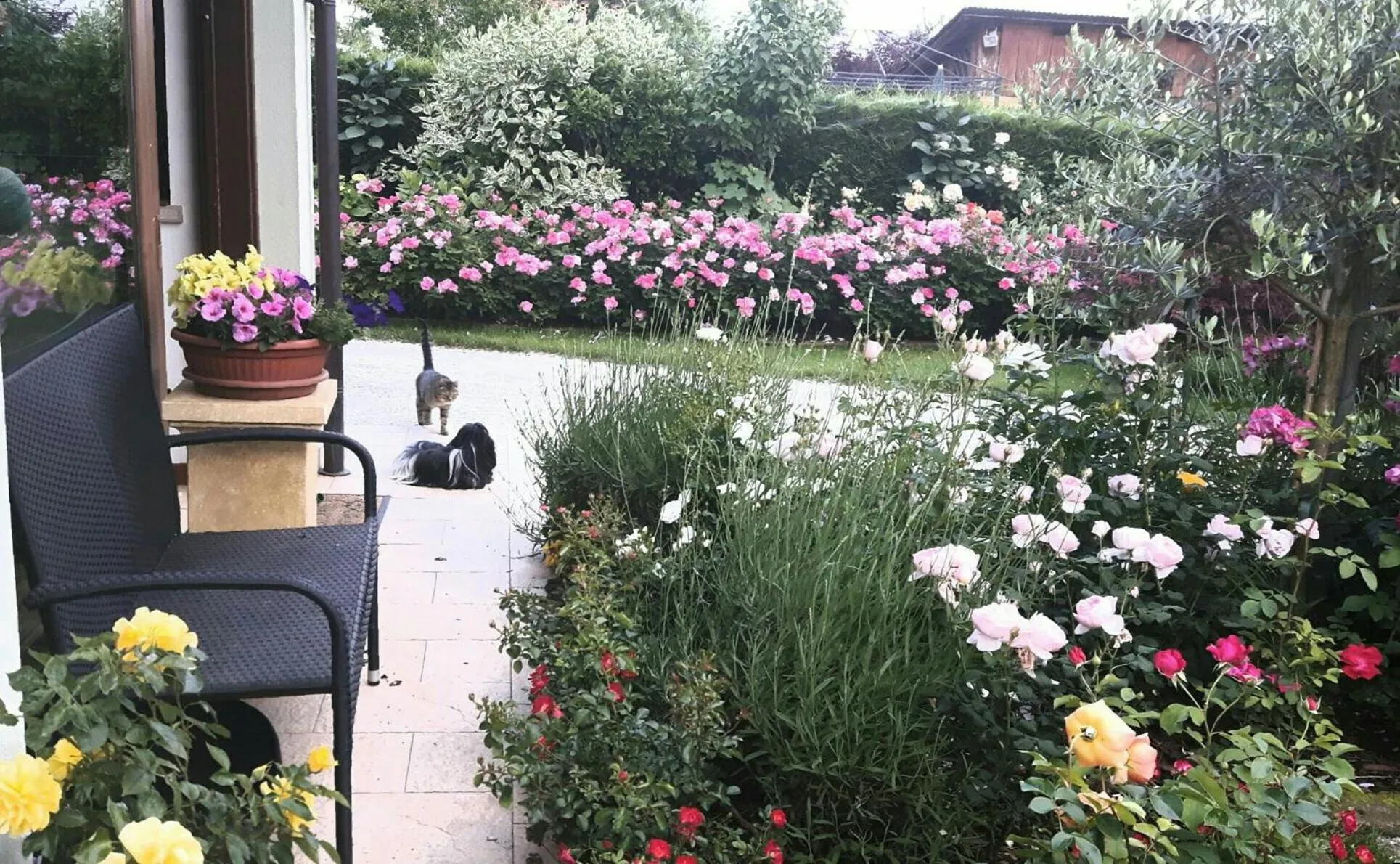 Property building in Green Rose