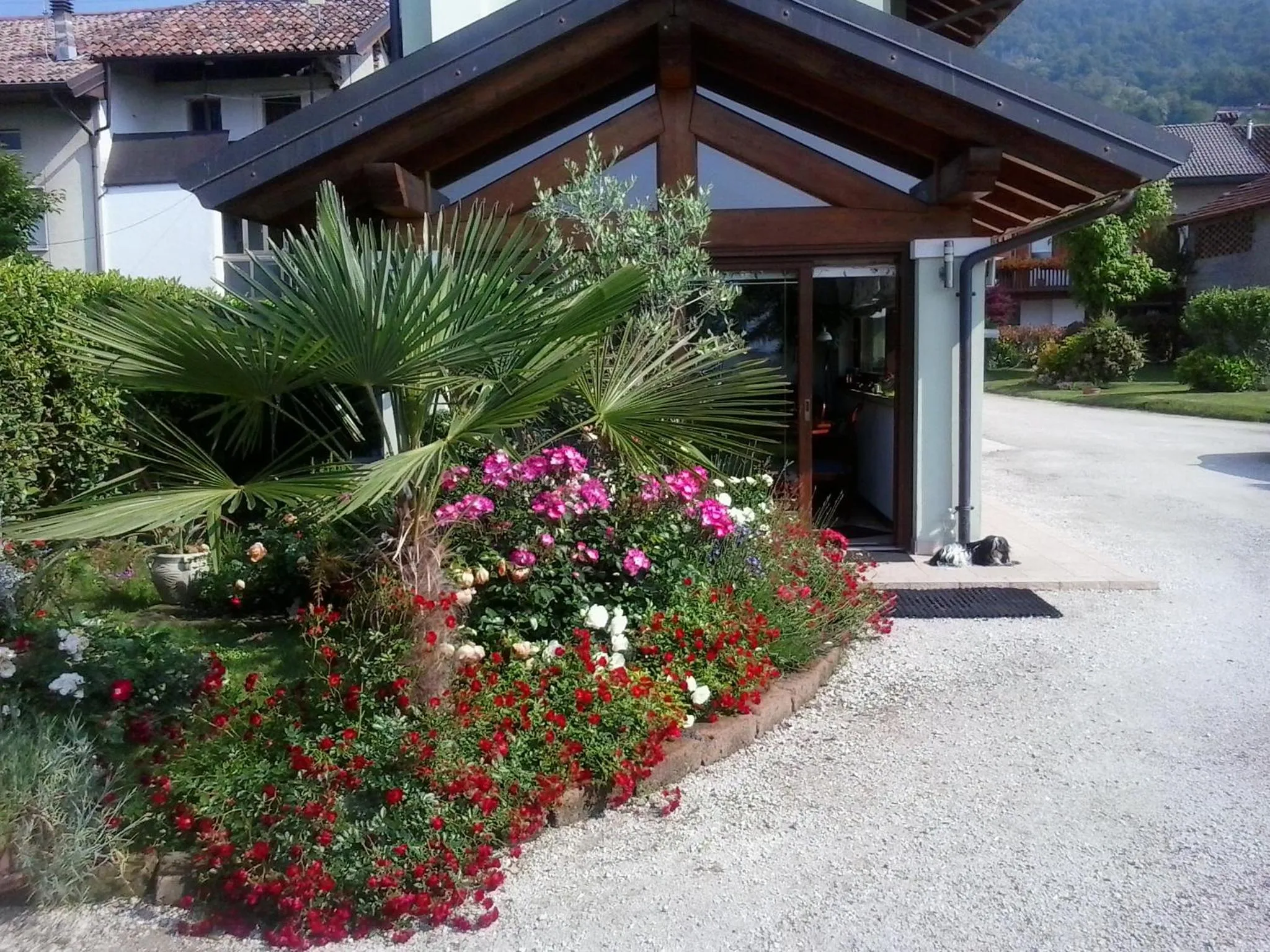 Property building in Green Rose