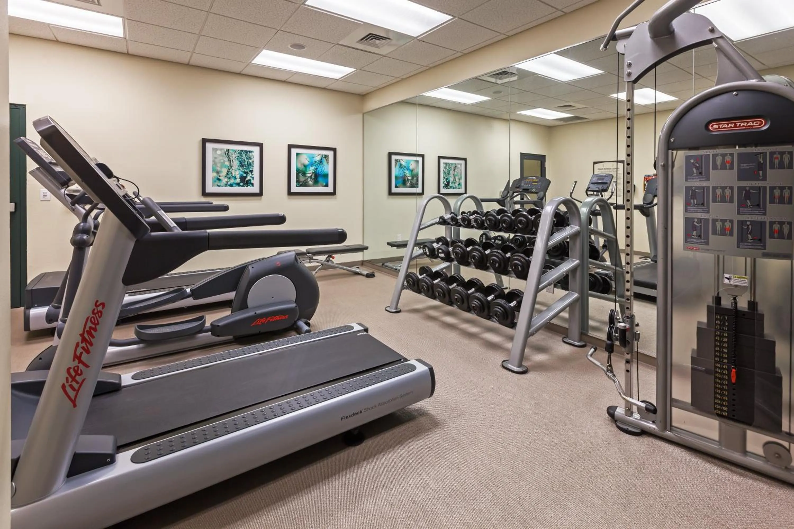 Fitness centre/facilities in Staybridge Suites San Antonio Downtown Convention Center by IHG