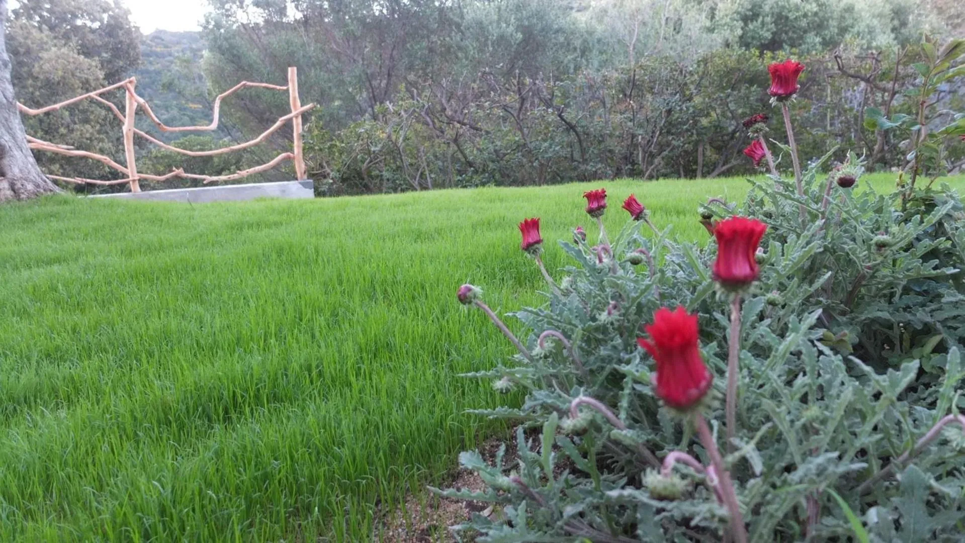 Garden in Suite cucinino, bagno, ingresso indipendente in" Villa VìVì"