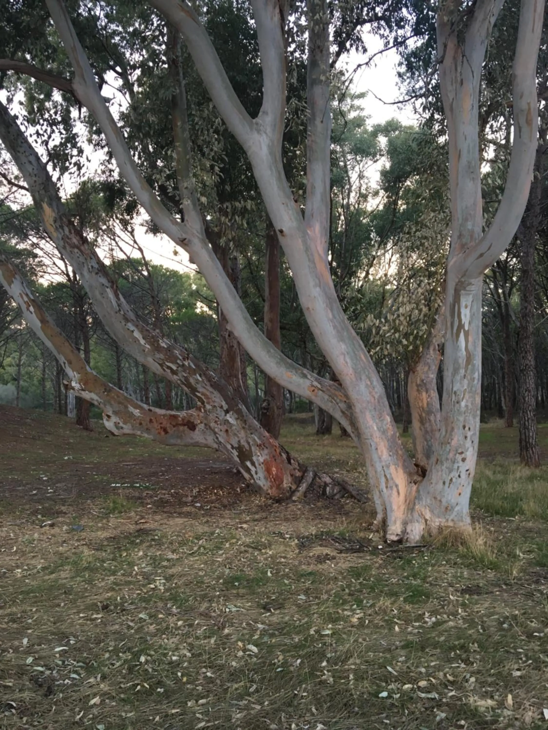 Horse-riding in Suite cucinino, bagno, ingresso indipendente in" Villa VìVì"